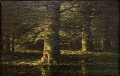 STREAM THROUGH the BEECHES Trees, Louisville, Kentucky