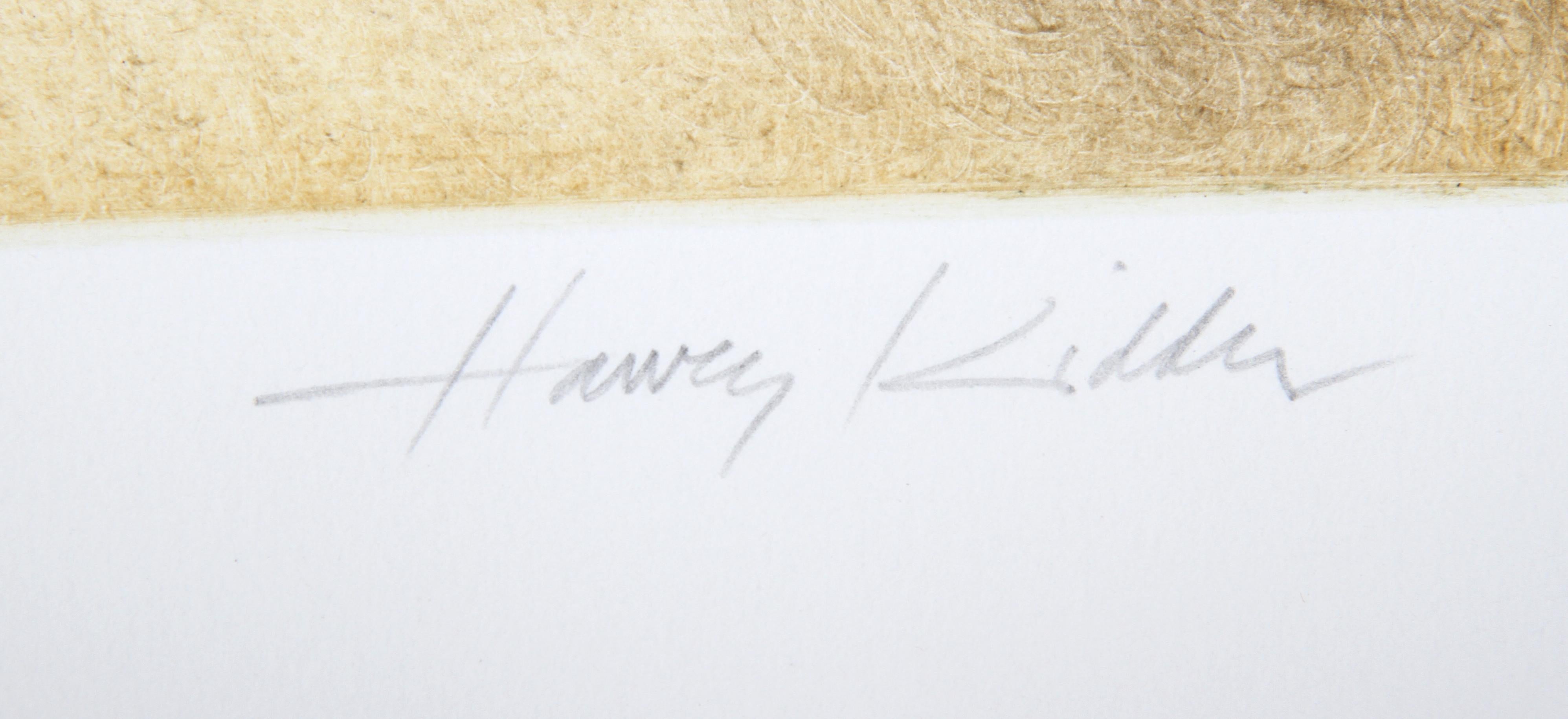 Pantano salino, aguafuerte firmado por Harvey Kidder en venta 1
