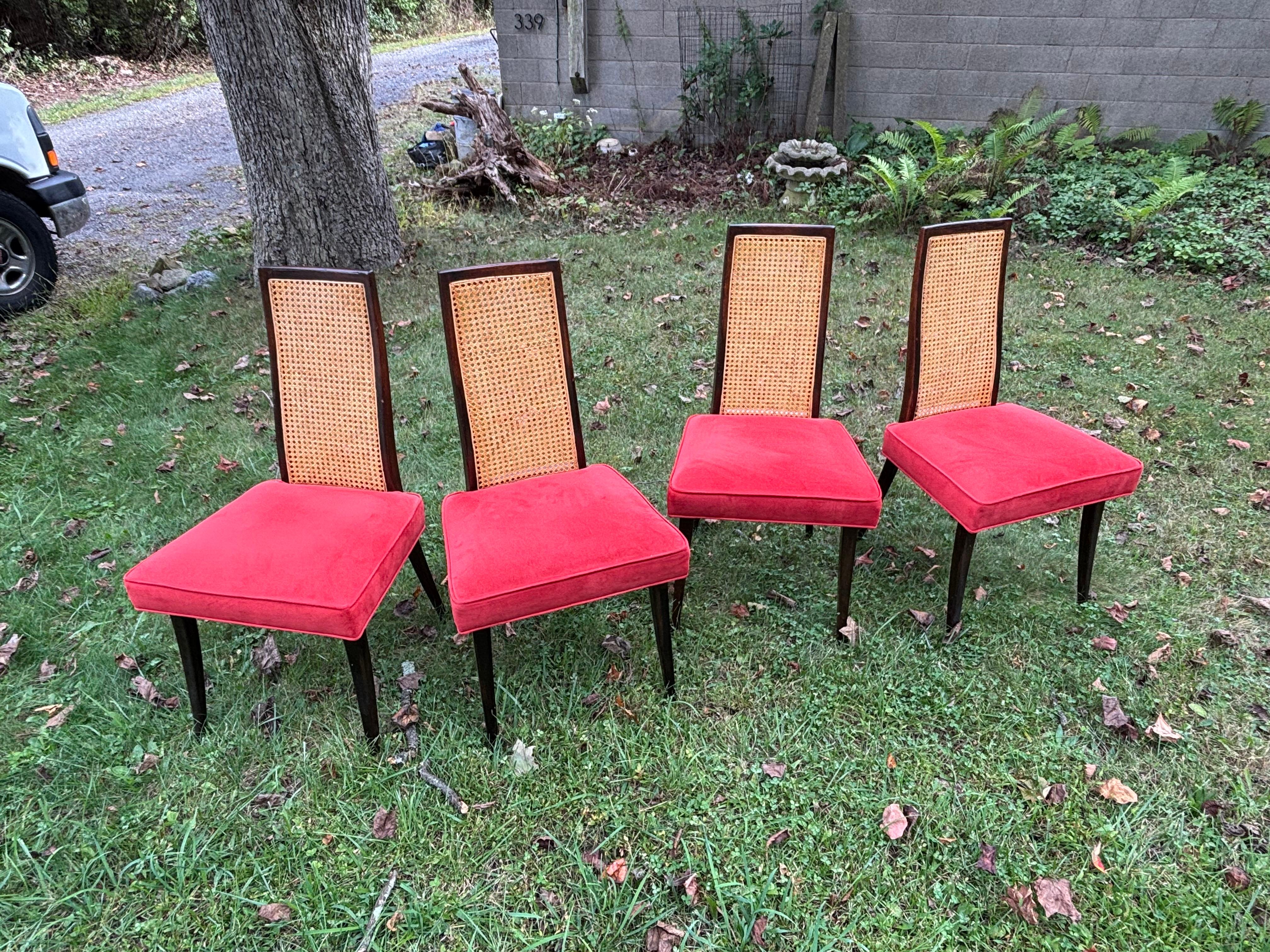 Harvey Probber Juego De 6 Sillas De Comedor siglo XX en venta