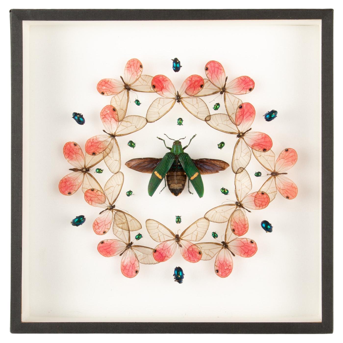 Hasharat
s Defying Gravity: Flight Meets Geometry