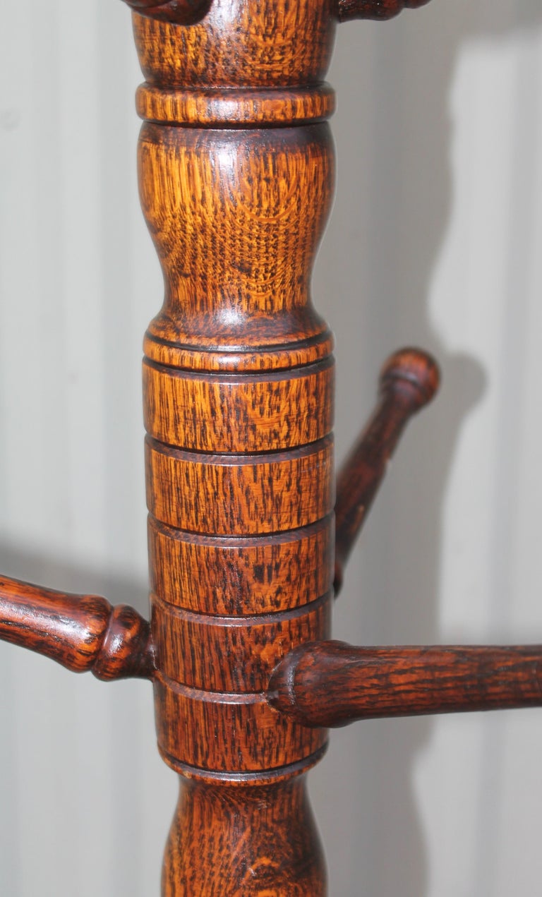 19Th c Hat and Coat Tree at 1stDibs