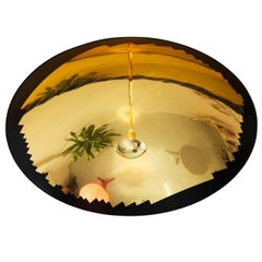 Hatchlight Reflective Ceiling Light Black and Gold