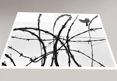 "Barbed Wire" The Frequency, Giclee Print, Abstract Photography, Limited Ed.