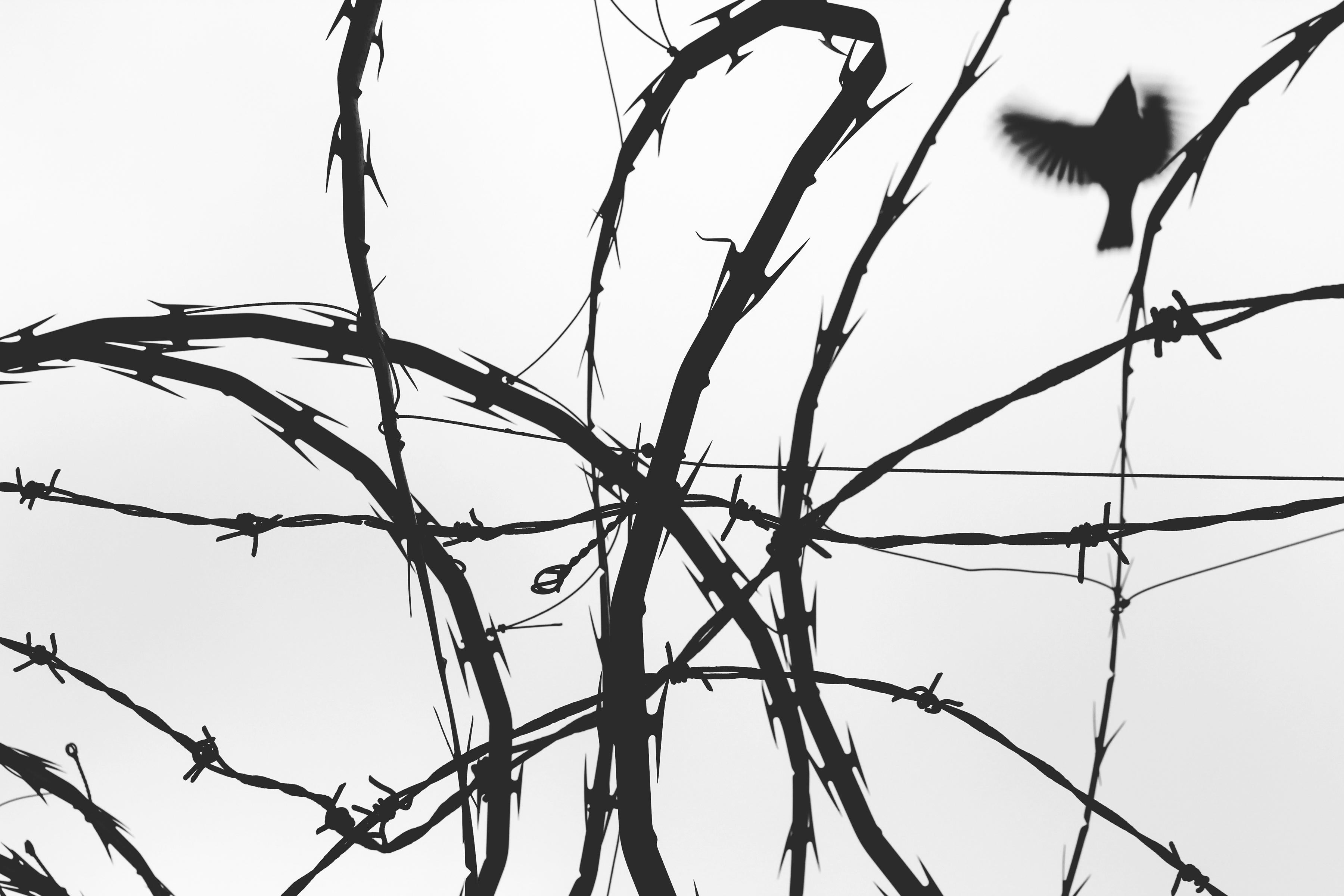 "Barbed Wire" The Frequency, Giclee Print, Abstract Photography, Limited Ed.