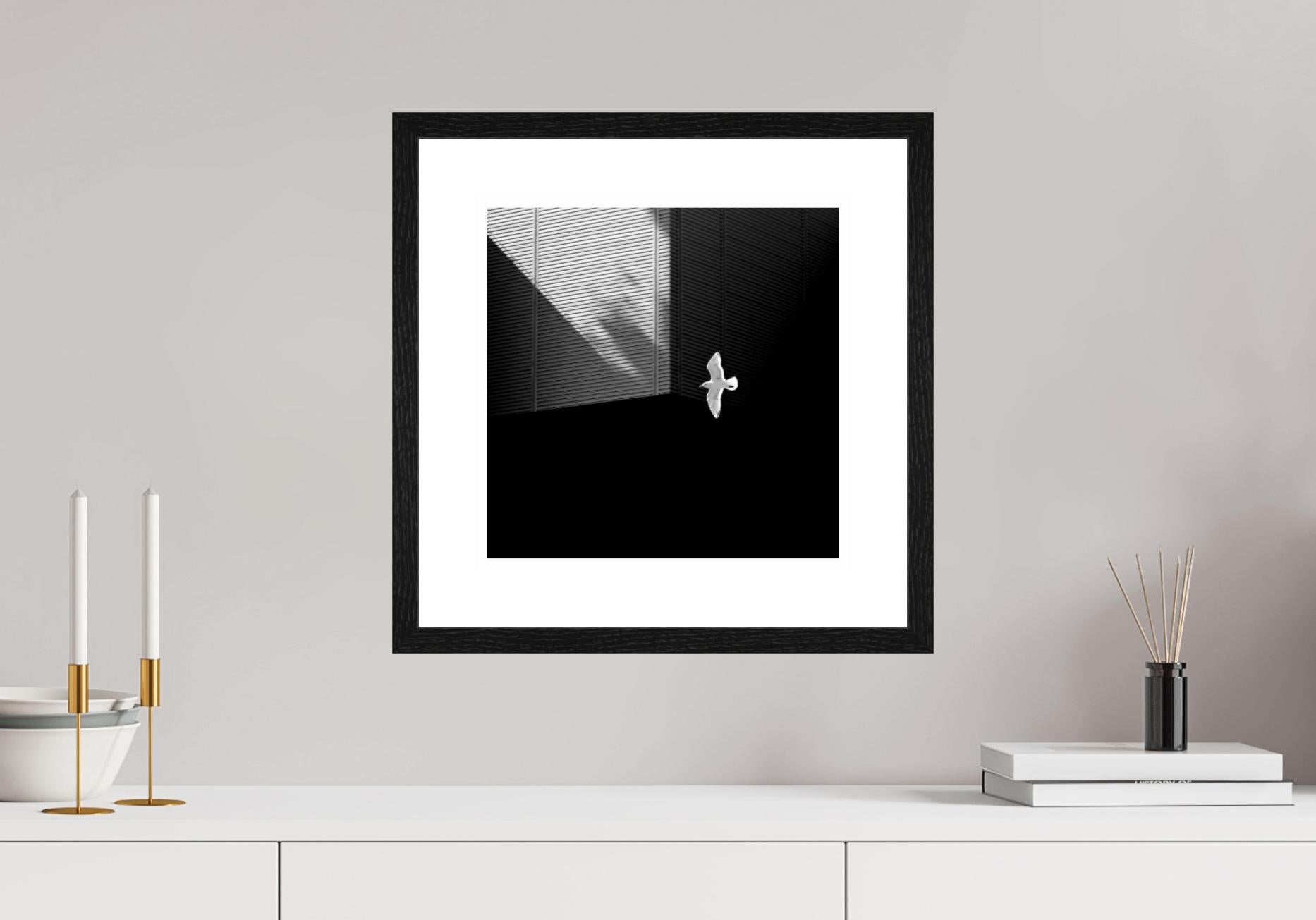 „Seagull“ Einfache Serie, Giclee-Druck, Minimalismus, Fotografie, limitierte Auflage im Angebot 3