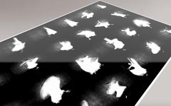 "Tomorrow" Hidden Wounds, Giclee Print, Photograph, Limited Ed. 1/5