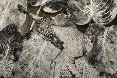 Lost paradises #1 Haude Bernabe Contemporary art Africa man in nature landscape