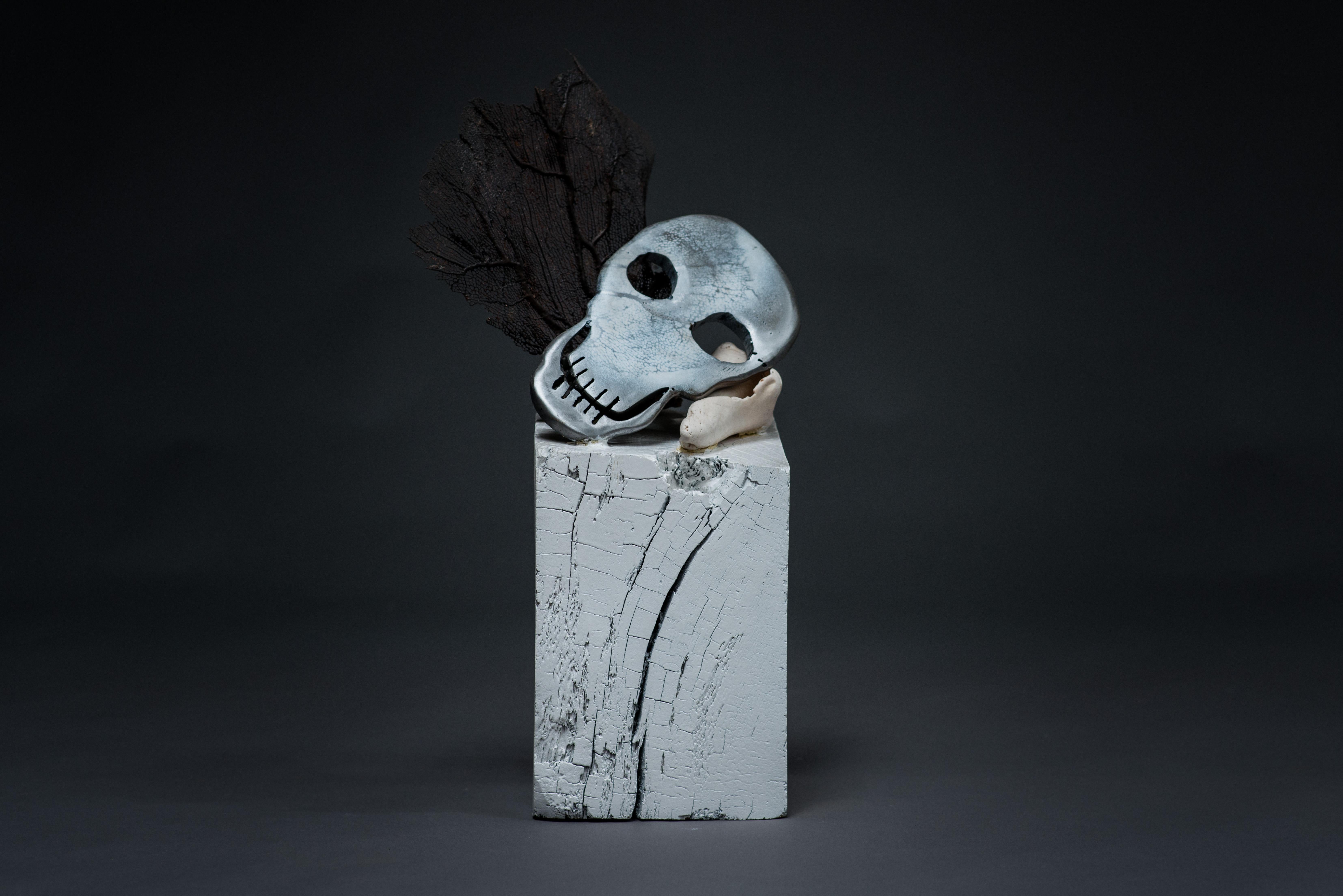 Chroniken Haude Bernabé Zeitgenössische Kunst Skulptur aus Metall Eitelkeit Schädel Muschel Meer