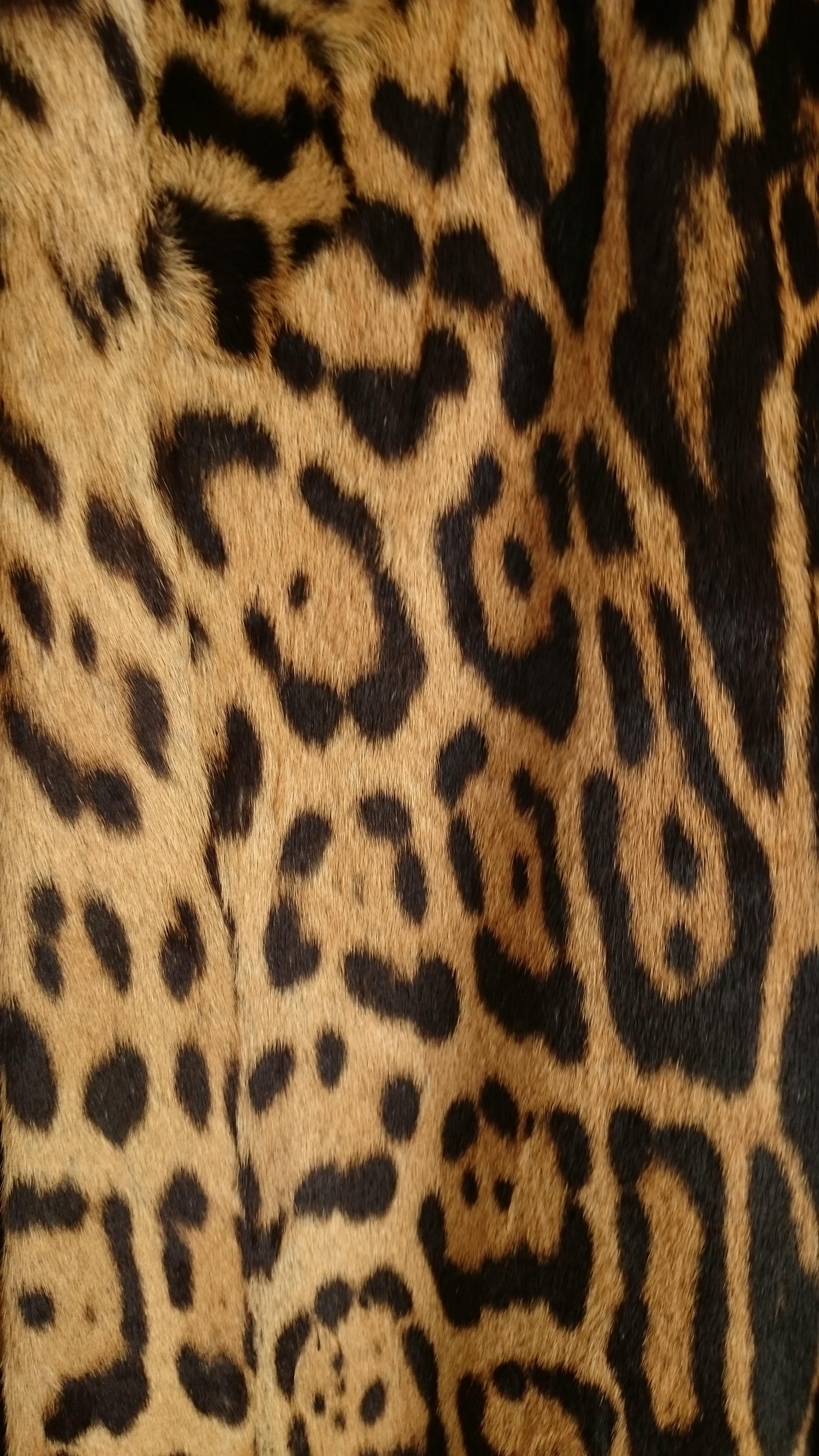 Haute Couture MANFRIANI Florence Rare Wild Jaguar Fur (Pre-Ban) Coat. Unworn  For Sale 2