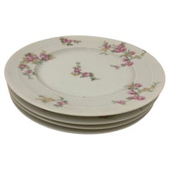 Haviland Limoges Floral Porzellan Speiseteller Satz von 4