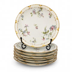 Haviland Limoges Porzellanteller mit Blumenmuster, 8er-Set, Frankreich, 1888