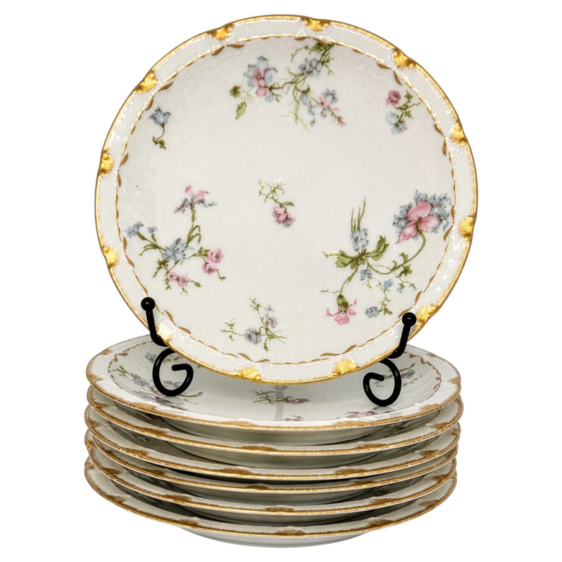 Haviland Limoges Floral Porcelain Plates Set of Eight, France, 1888