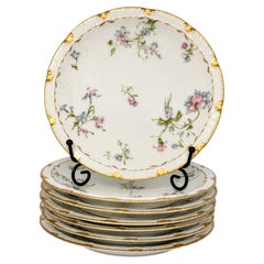 Haviland Limoges Porzellanteller mit Blumenmuster, 8er-Set, Frankreich, 1888