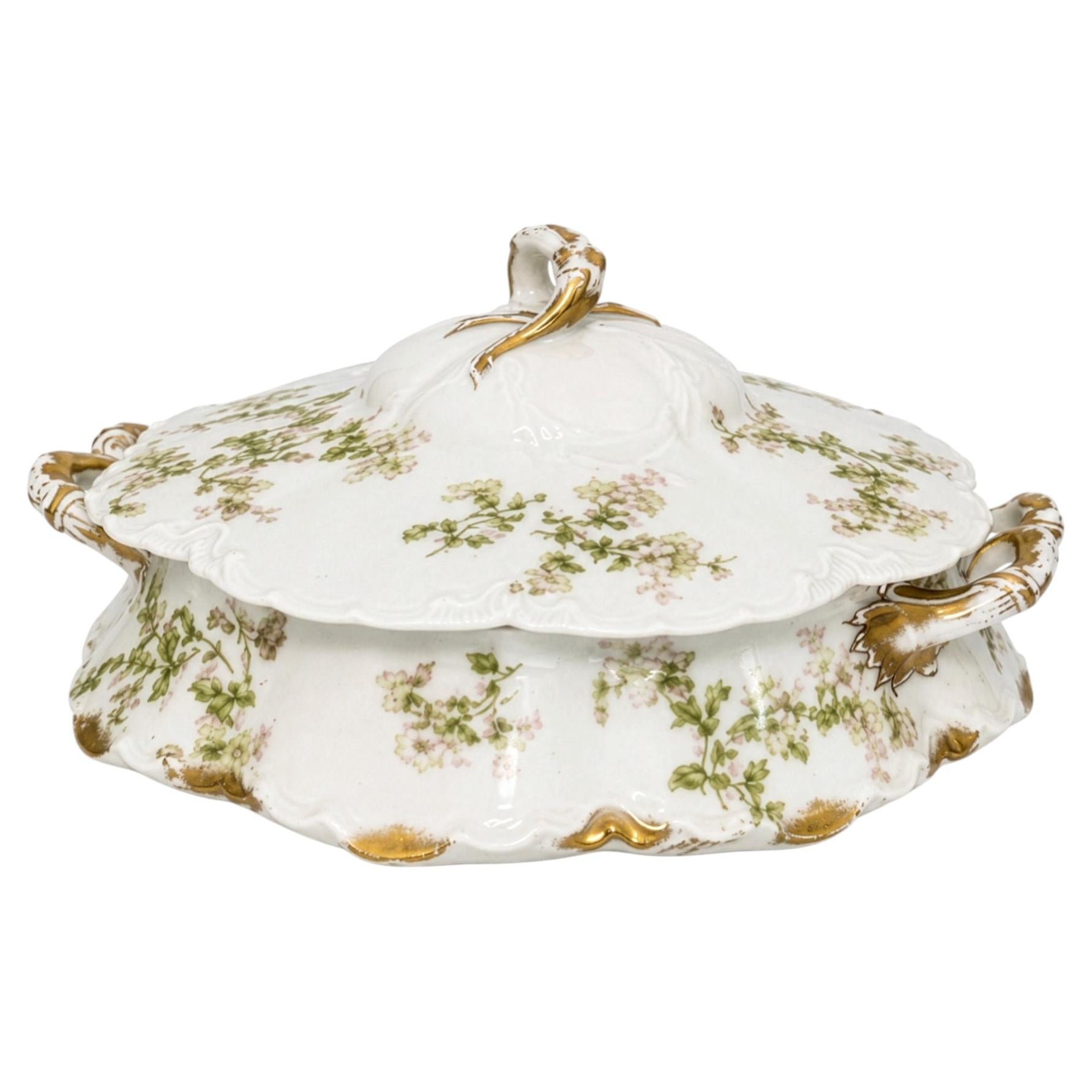 Which is better: bone china or porcelain?