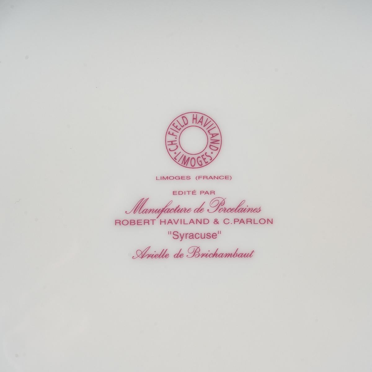 Haviland, Tableware Set Syracuse Enameled Limoges Porcelain, 60 Pieces 7