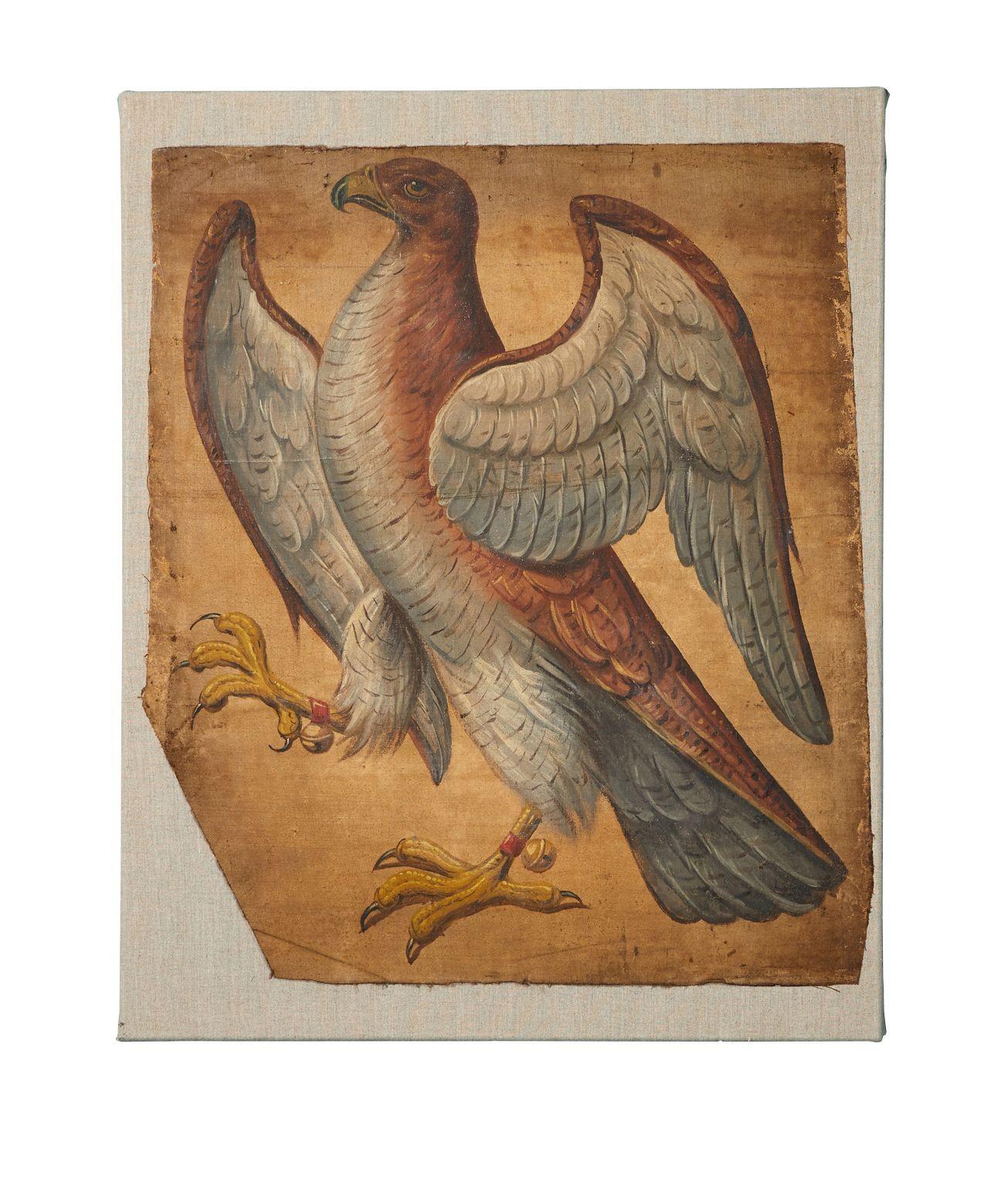 Hawk 19th Century Oil Painting on Canvas For Sale 2