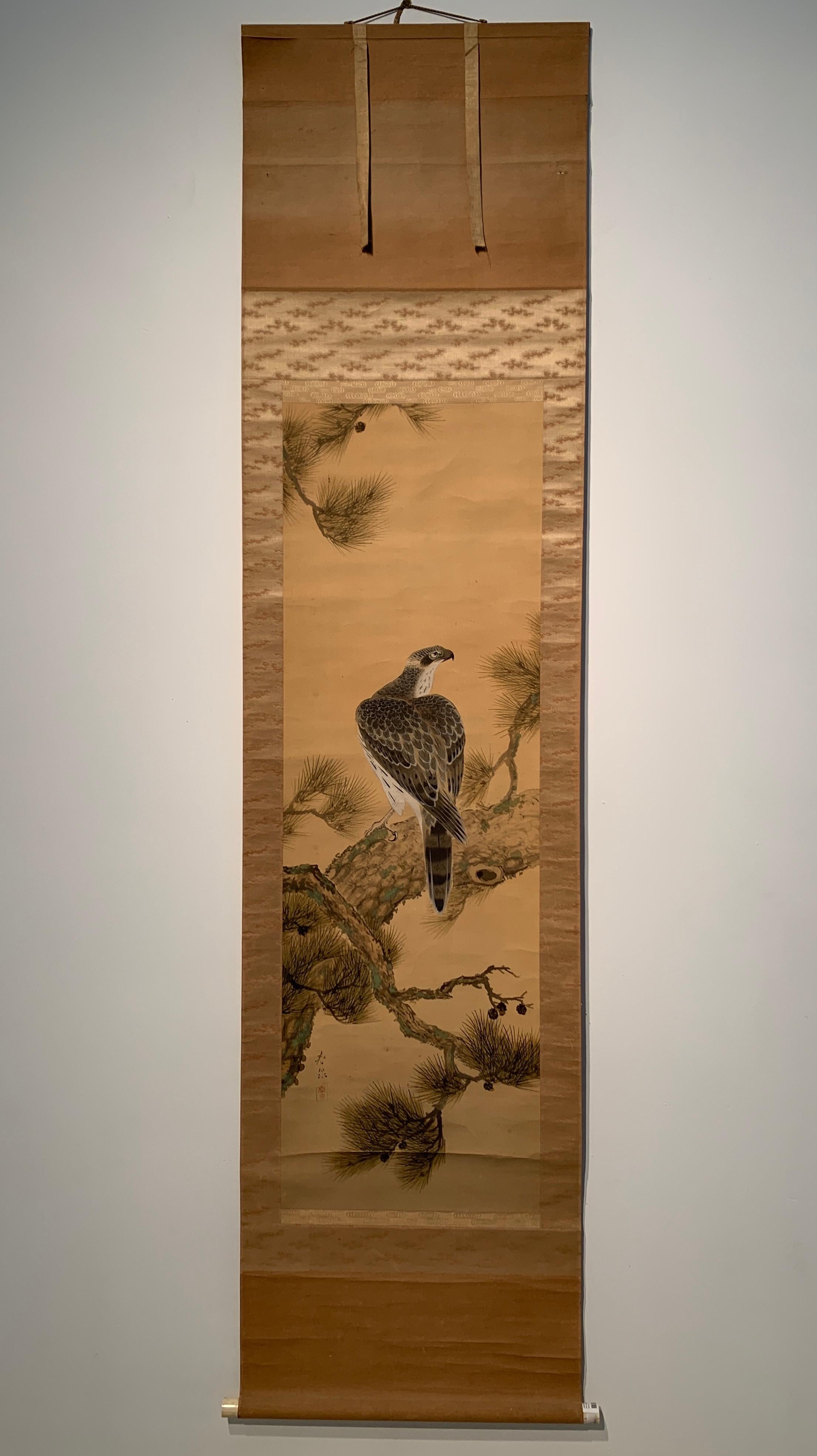 A striking and powerful Japanese painting of a hawk resting on a pine branch, ink and color on paper, mounted as a hanging scroll, kakemono or kakejiku, signed Shunsen, late Meiji Period, early 20th century. 

The large hawk is portrayed perched