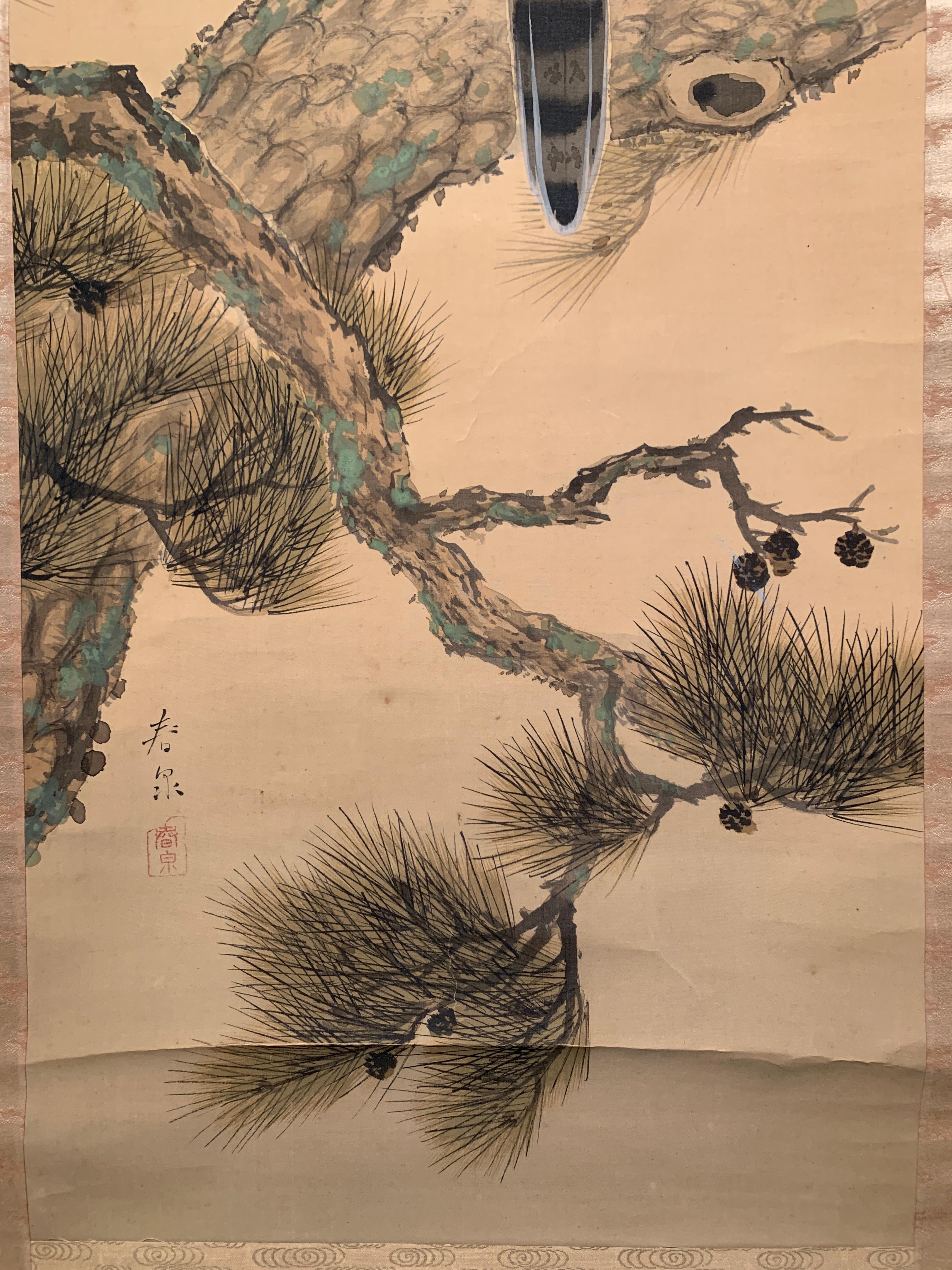 Hand-Painted Hawk on Pine, Japanese Hanging Scroll Painting by Shunsen, Meiji Period, Japan