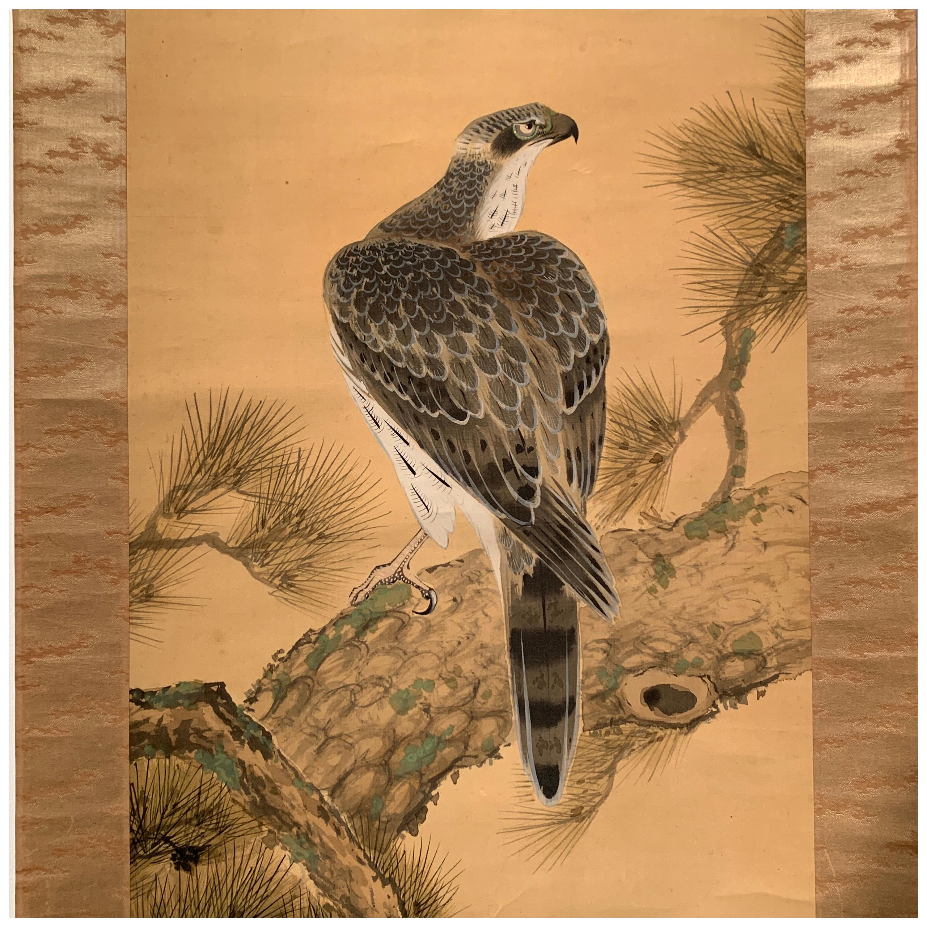 Hawk on Pine, Japanese Hanging Scroll Painting by Shunsen, Meiji Period, Japan