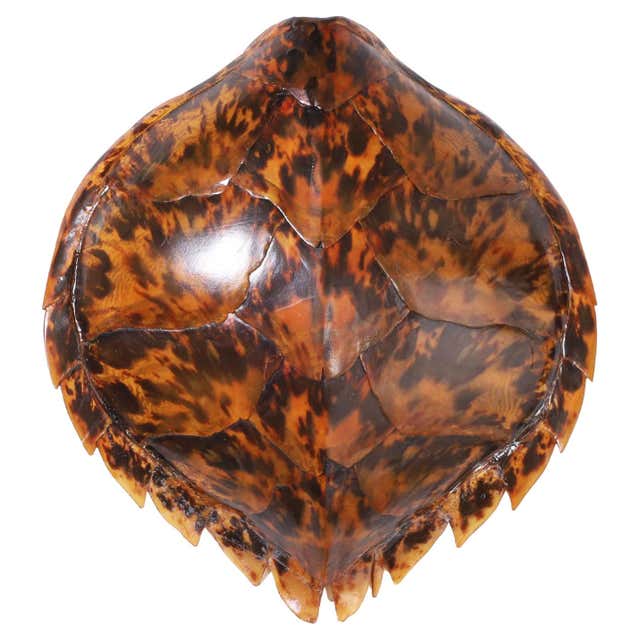 19th Century Antique Chinese Turtle Shell Vanity Mirror For Sale at ...