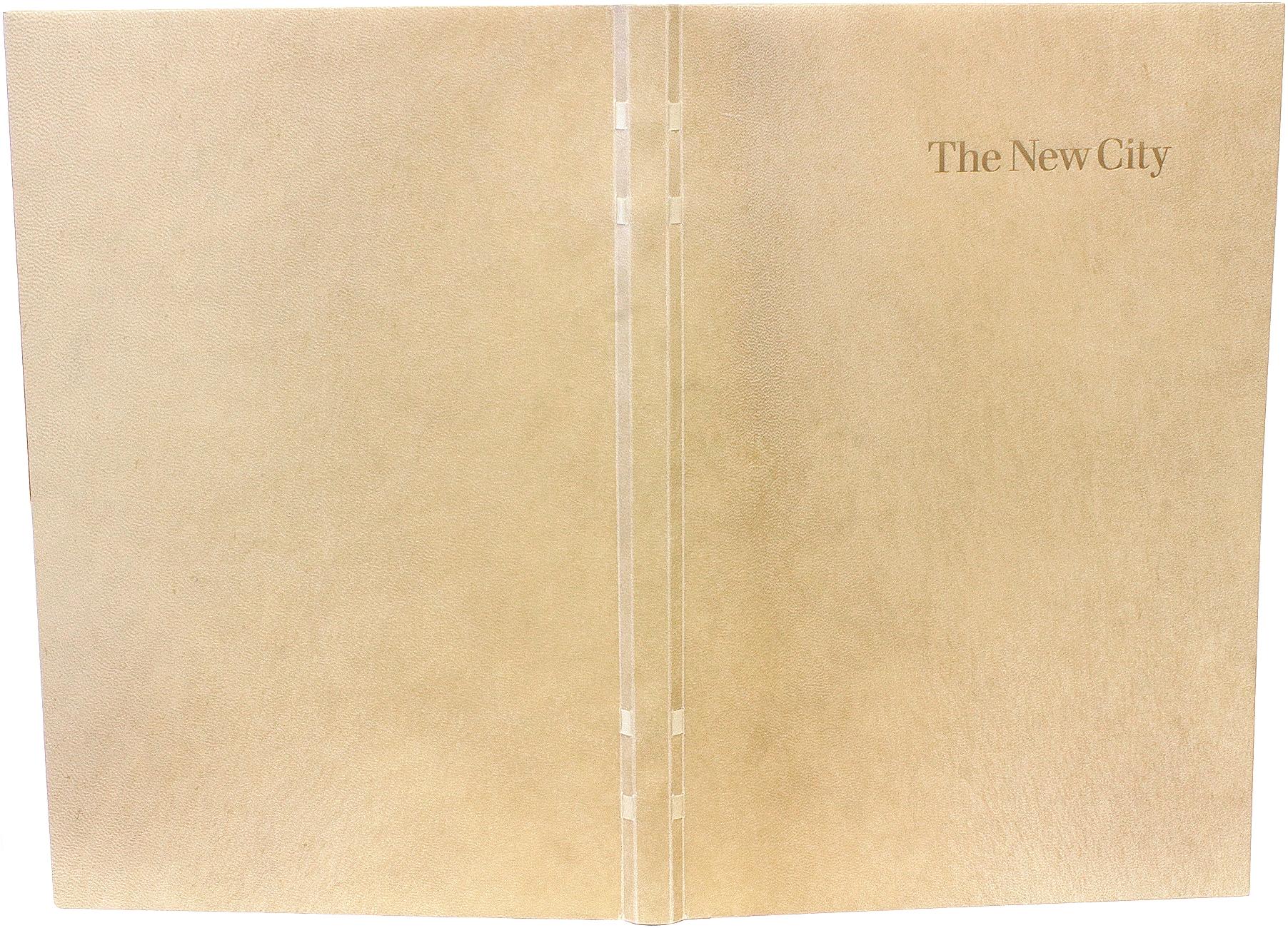 Pelle Hayman - Gander. La Nuova Città. EDIZIONE DELUXE FIRMATA IN VELLUM. 21° Edizioni, 2009 in vendita