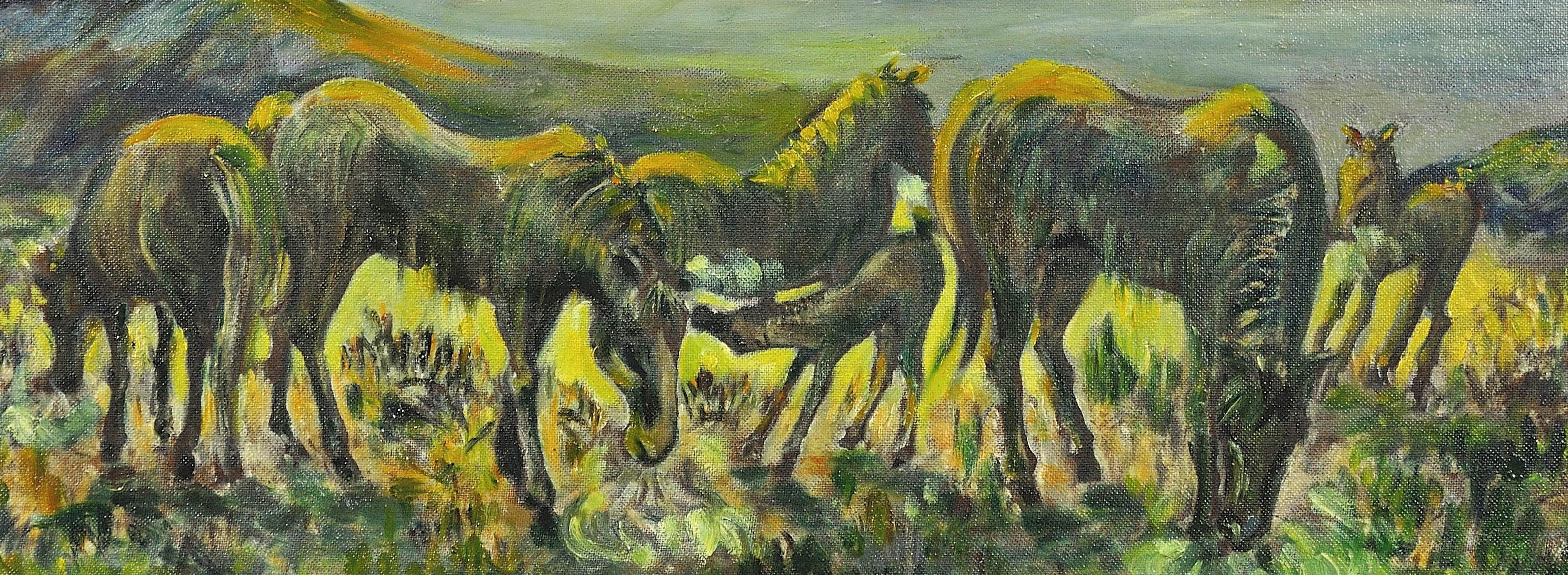 Poneys à Penlan, 1967.Swansea.Wales.Welsh Pony.Valleys.Equestrian.Hot Sun. en vente 15
