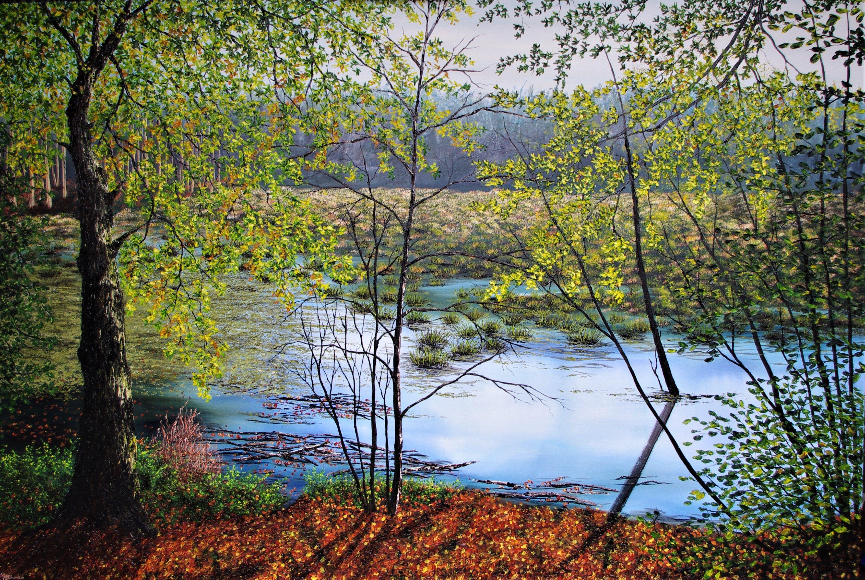 Large oil painting of Delamere moss in Autumn. This moss has been formed over the years by nature and rain fall, which has took over a large area of forest. By flooding a clearing of trees, a magical lake has been formed which has developed an eco