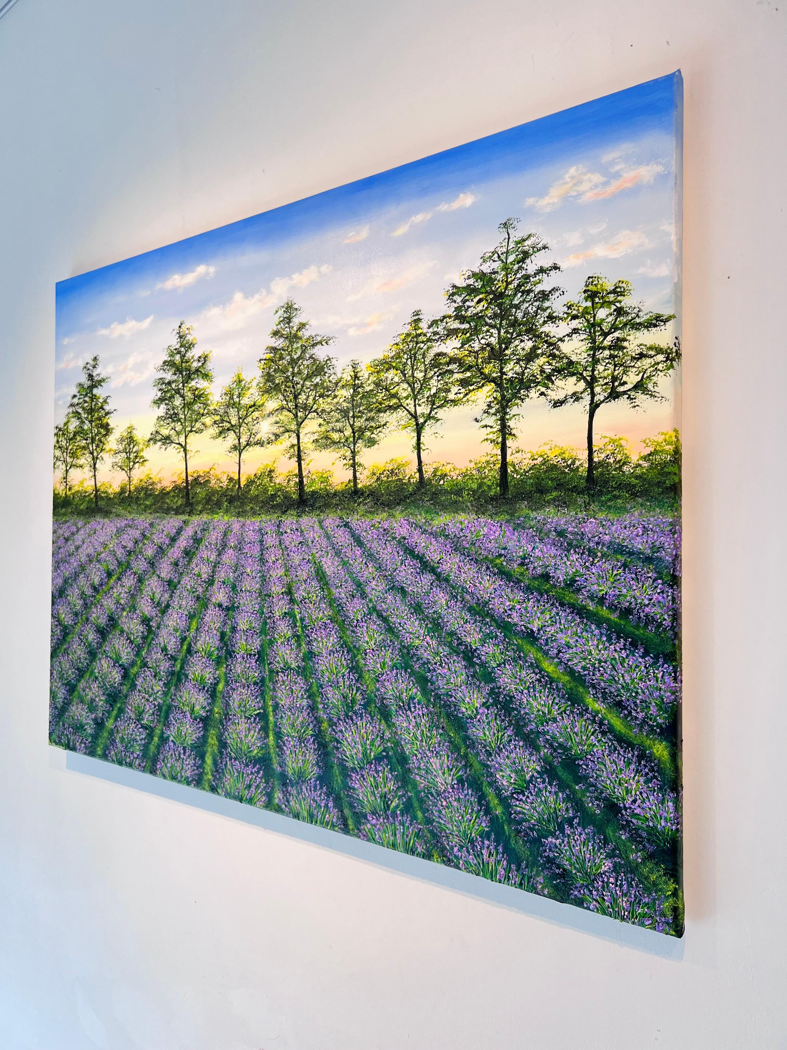 Lavender Sunset - original British landscape oil painting - contemporary art - Impressionist Painting by Hazel Thomson