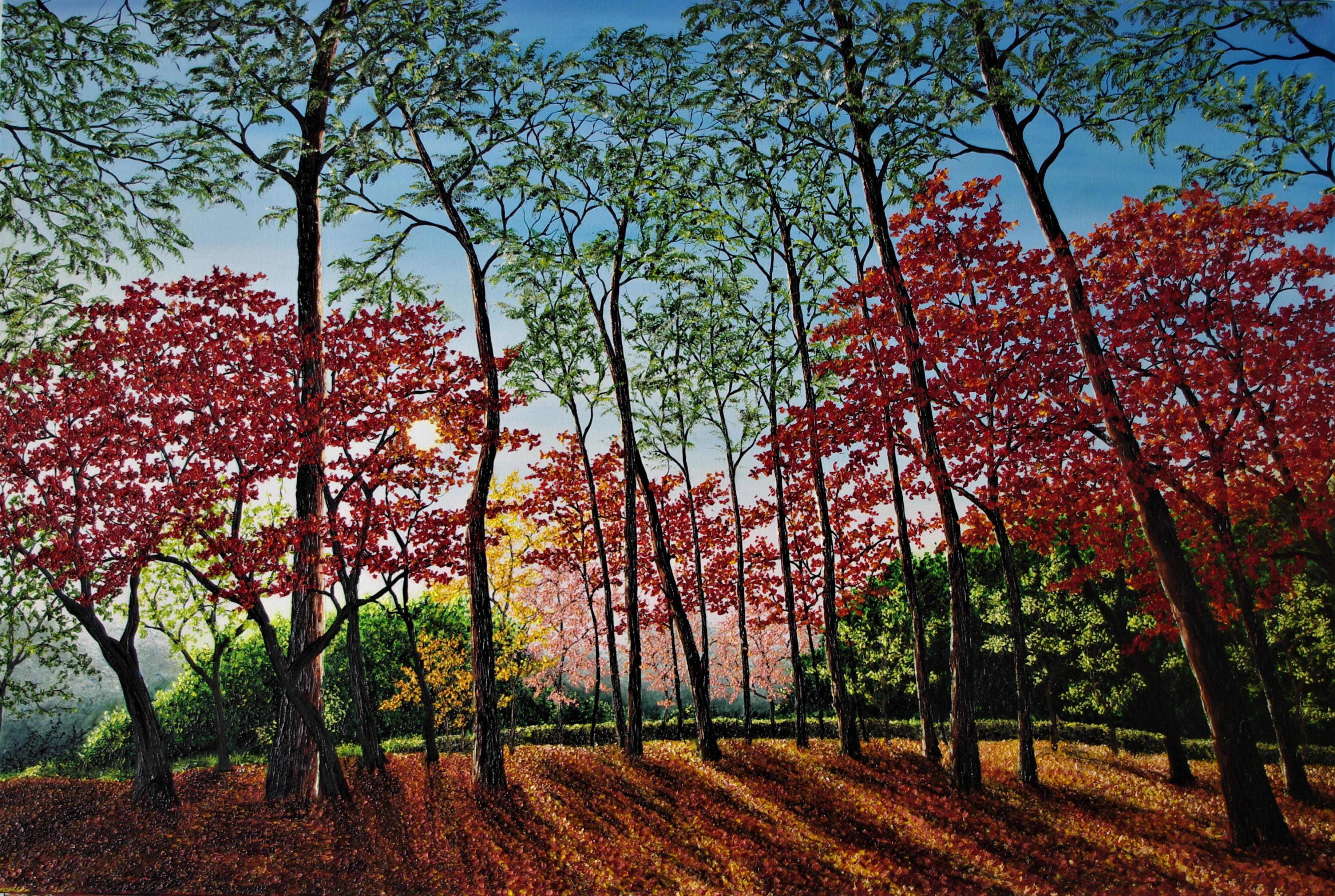 Hazel Thomson Landscape Painting – Woodlands in Japan - original britisches Landschafts-Ölgemälde - zeitgenössische Kunst