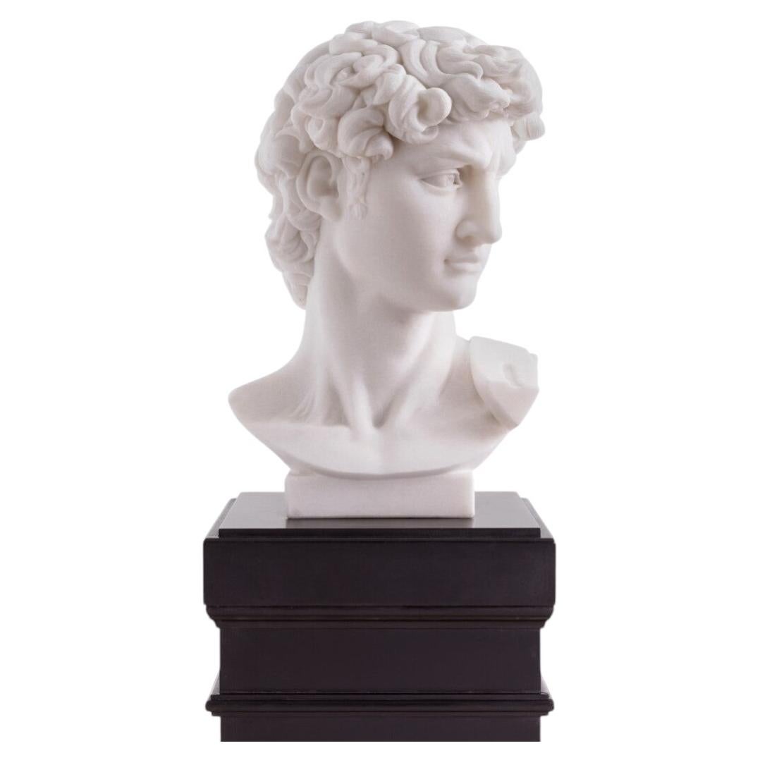 Head David Statue in White Marble Finish For Sale
