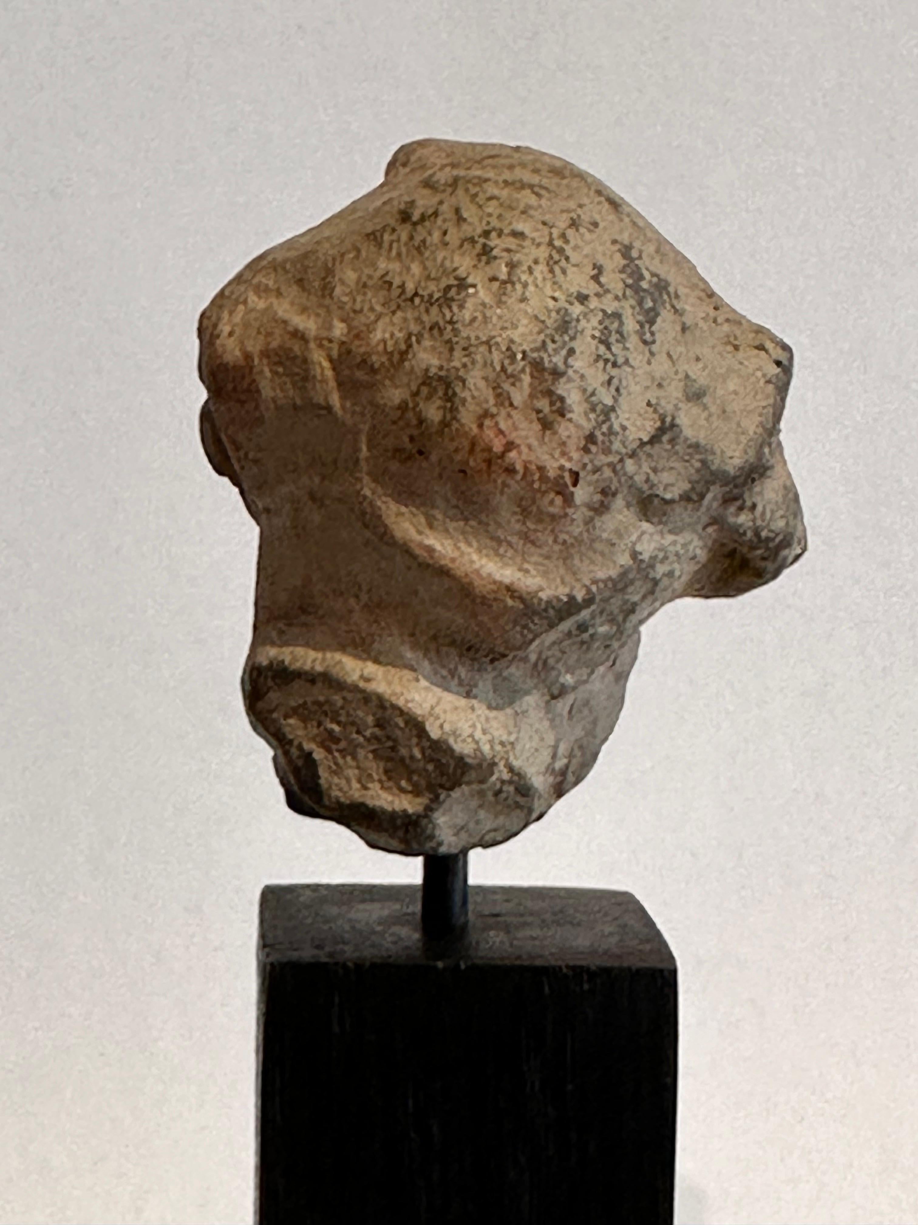 Head of a Bearded Man, Terracotta, Magna Graecia, 4th Century Before Christ 5
