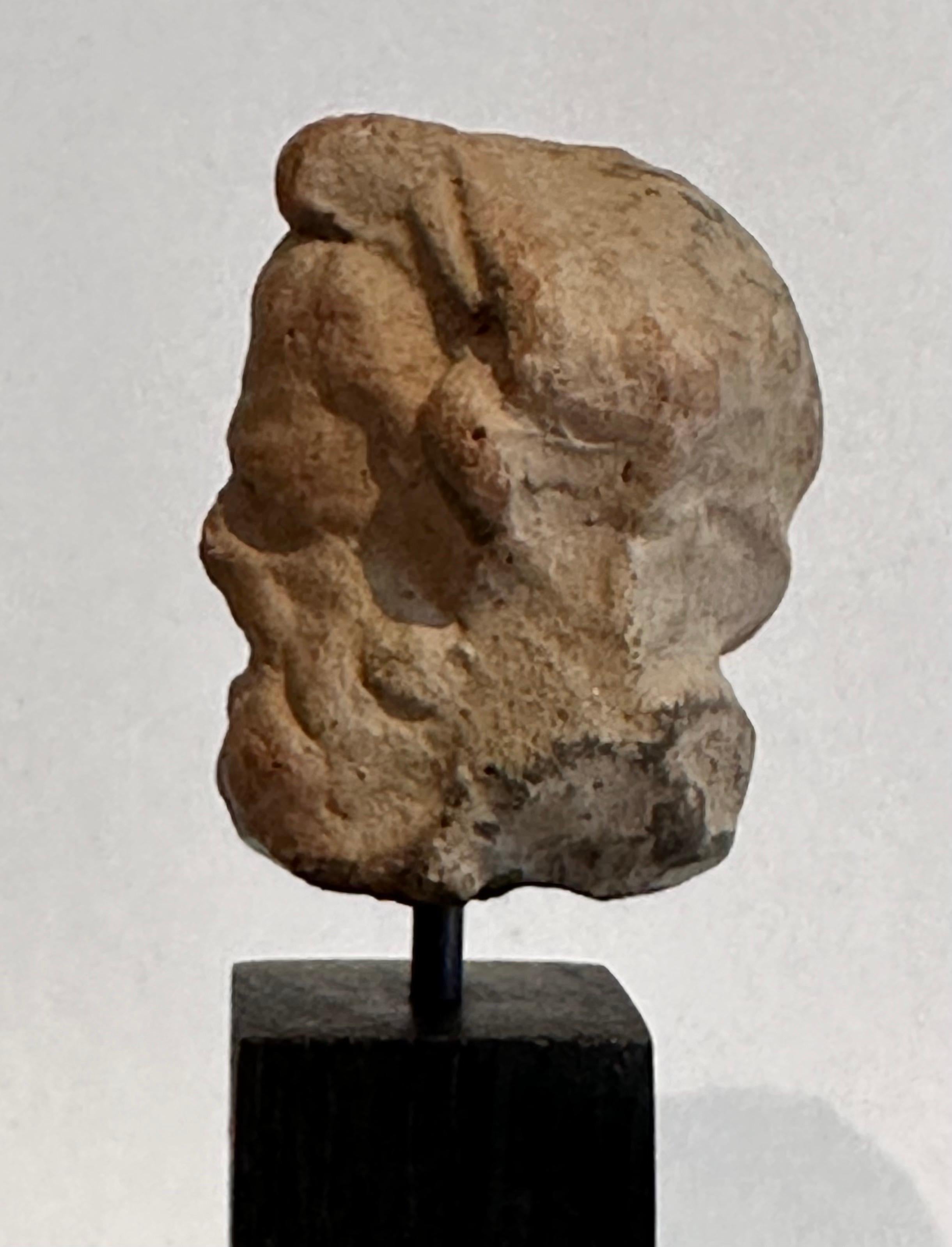 Head of a Bearded Man, Terracotta, Magna Graecia, 4th Century Before Christ 6