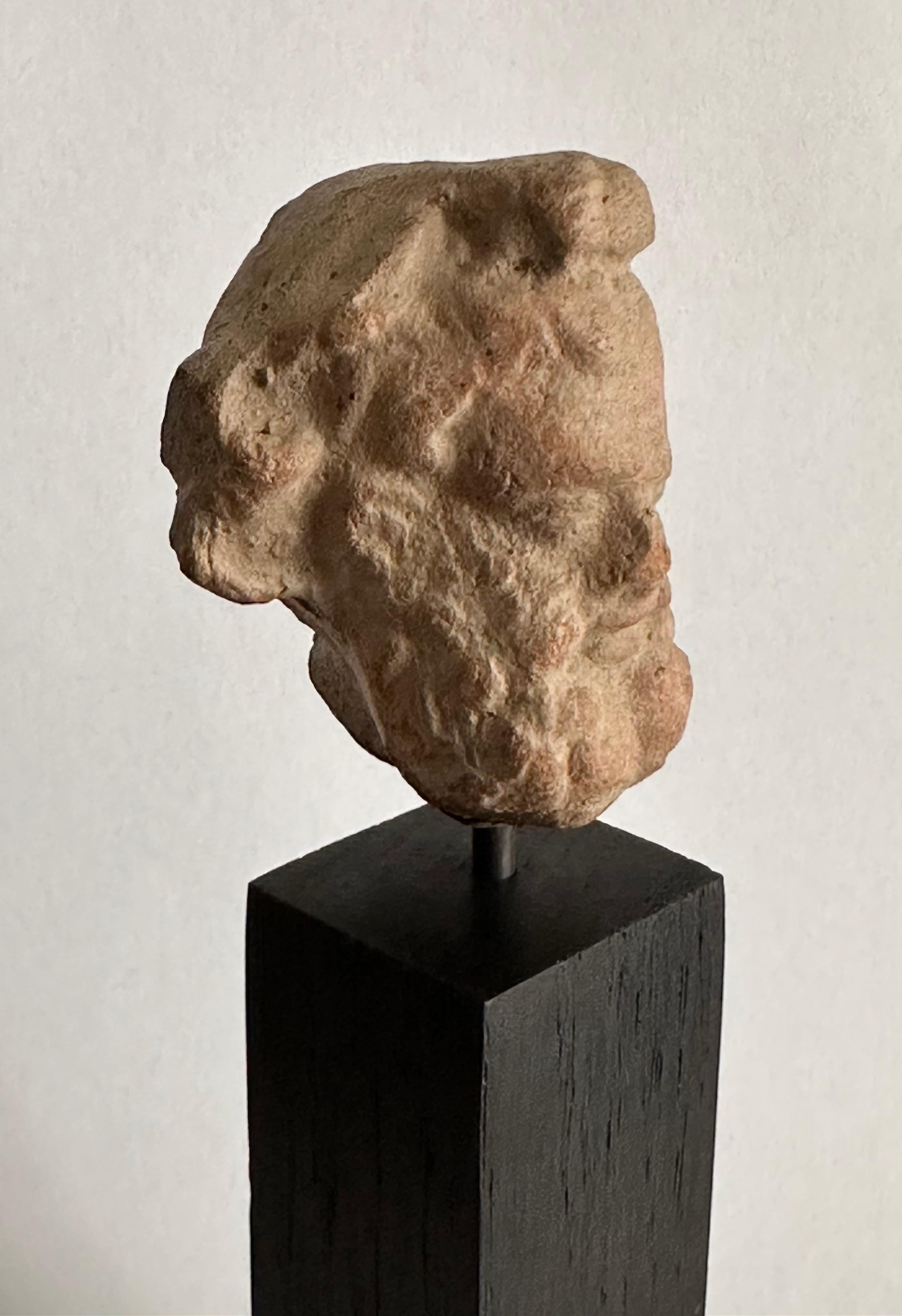 18th Century and Earlier Head of a Bearded Man, Terracotta, Magna Graecia, 4th Century Before Christ