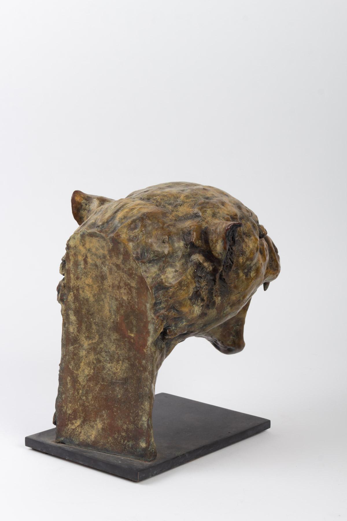 Patinated Head of a Feline