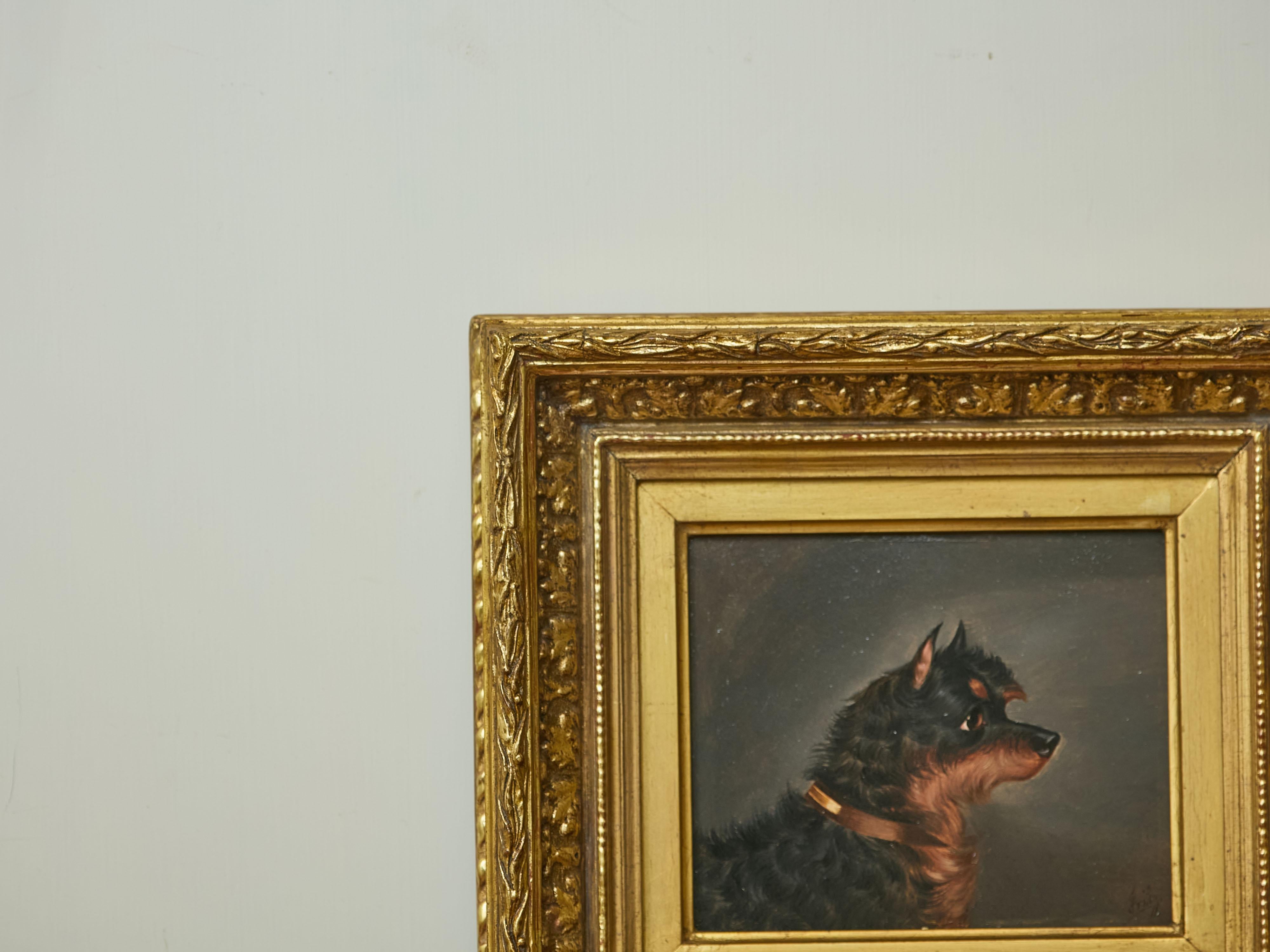 Inglese Testa di Norwich Terrier Olio su pannello Pittura di cani dopo Edwin Loder di Bath