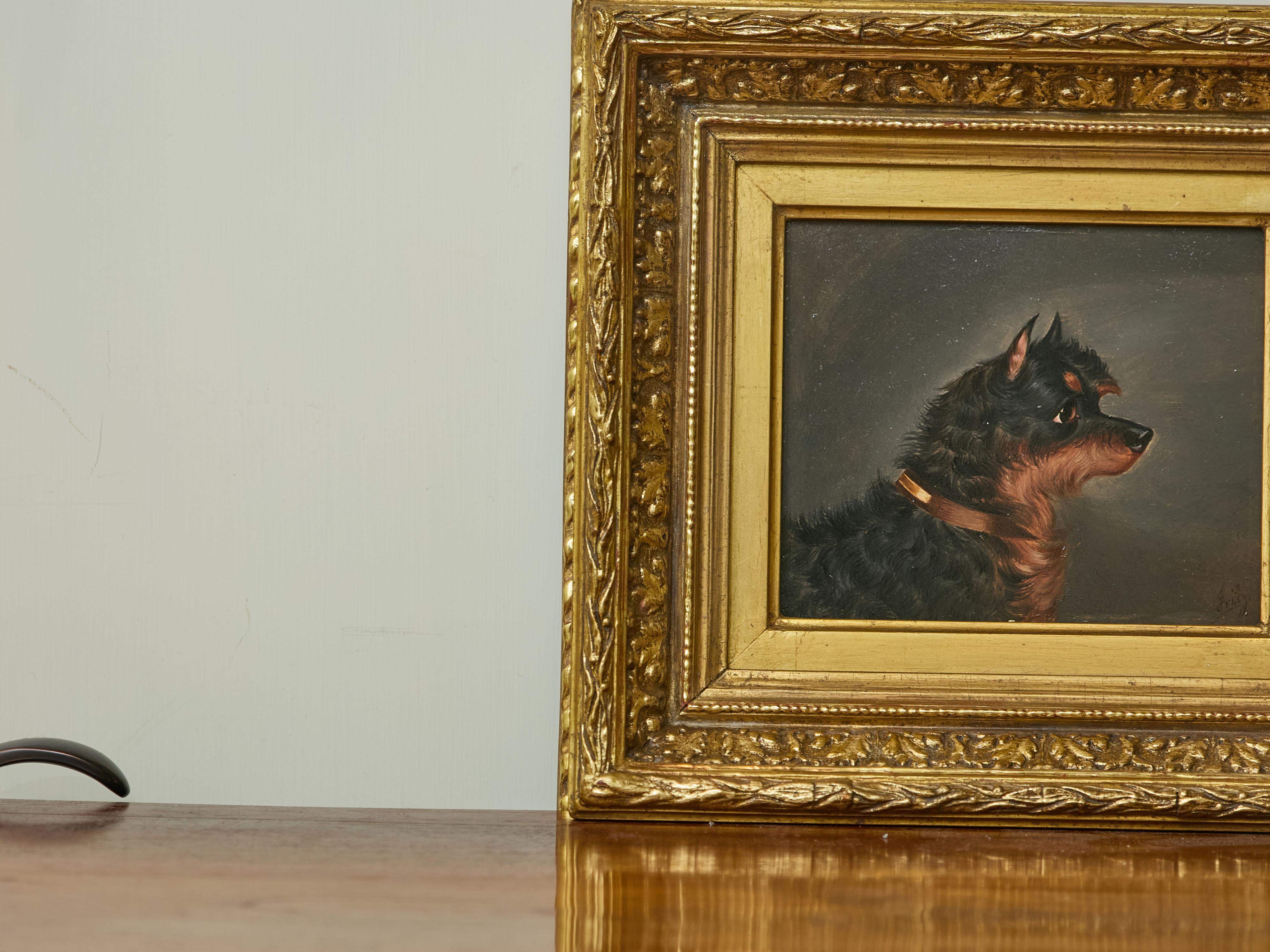 XIX secolo Testa di Norwich Terrier Olio su pannello Pittura di cani dopo Edwin Loder di Bath