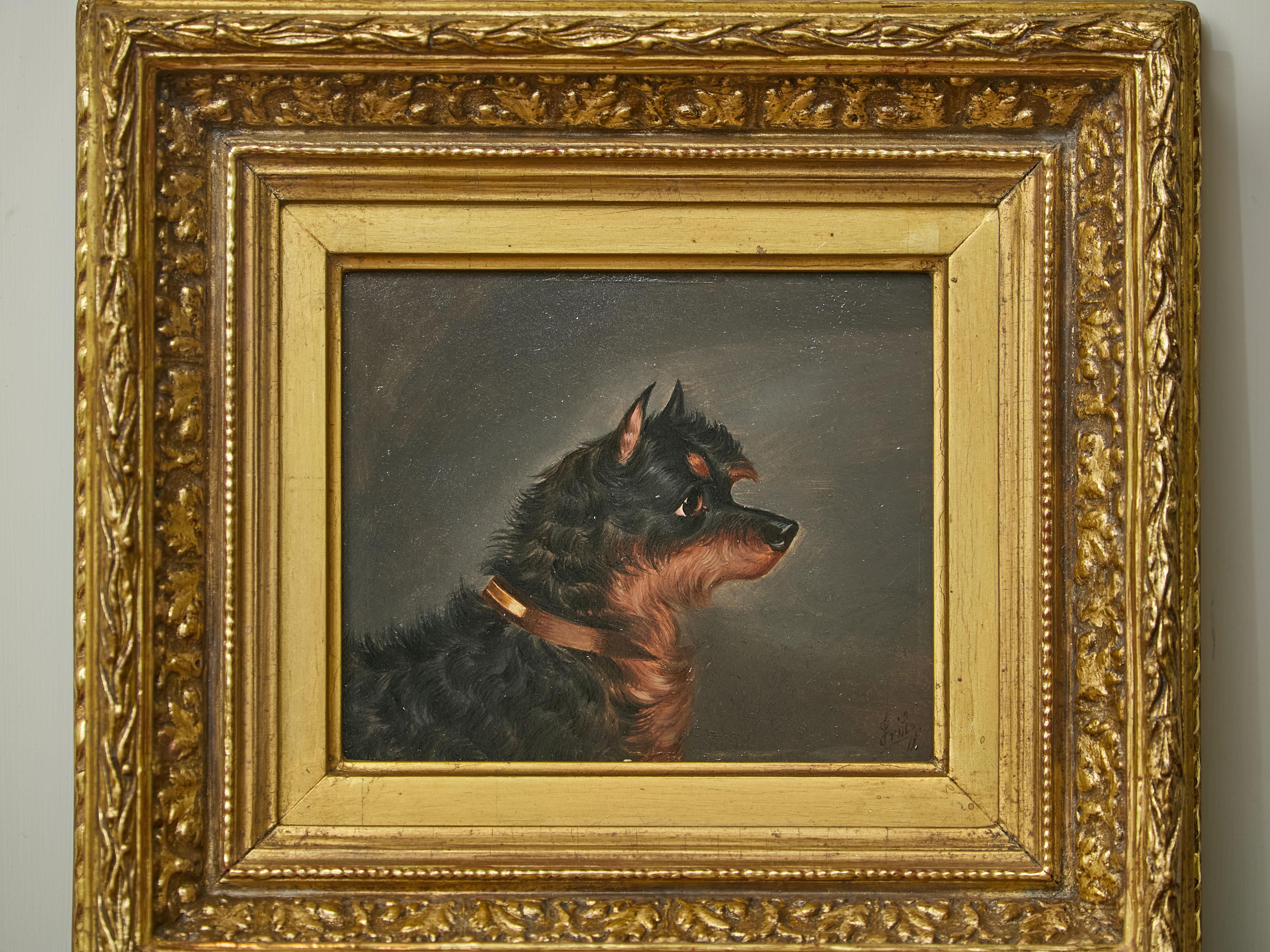 Legno Testa di Norwich Terrier Olio su pannello Pittura di cani dopo Edwin Loder di Bath