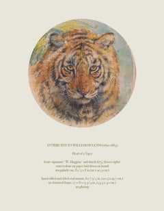 Head of a Tiger Attributed to William Huggins '1820-1875'