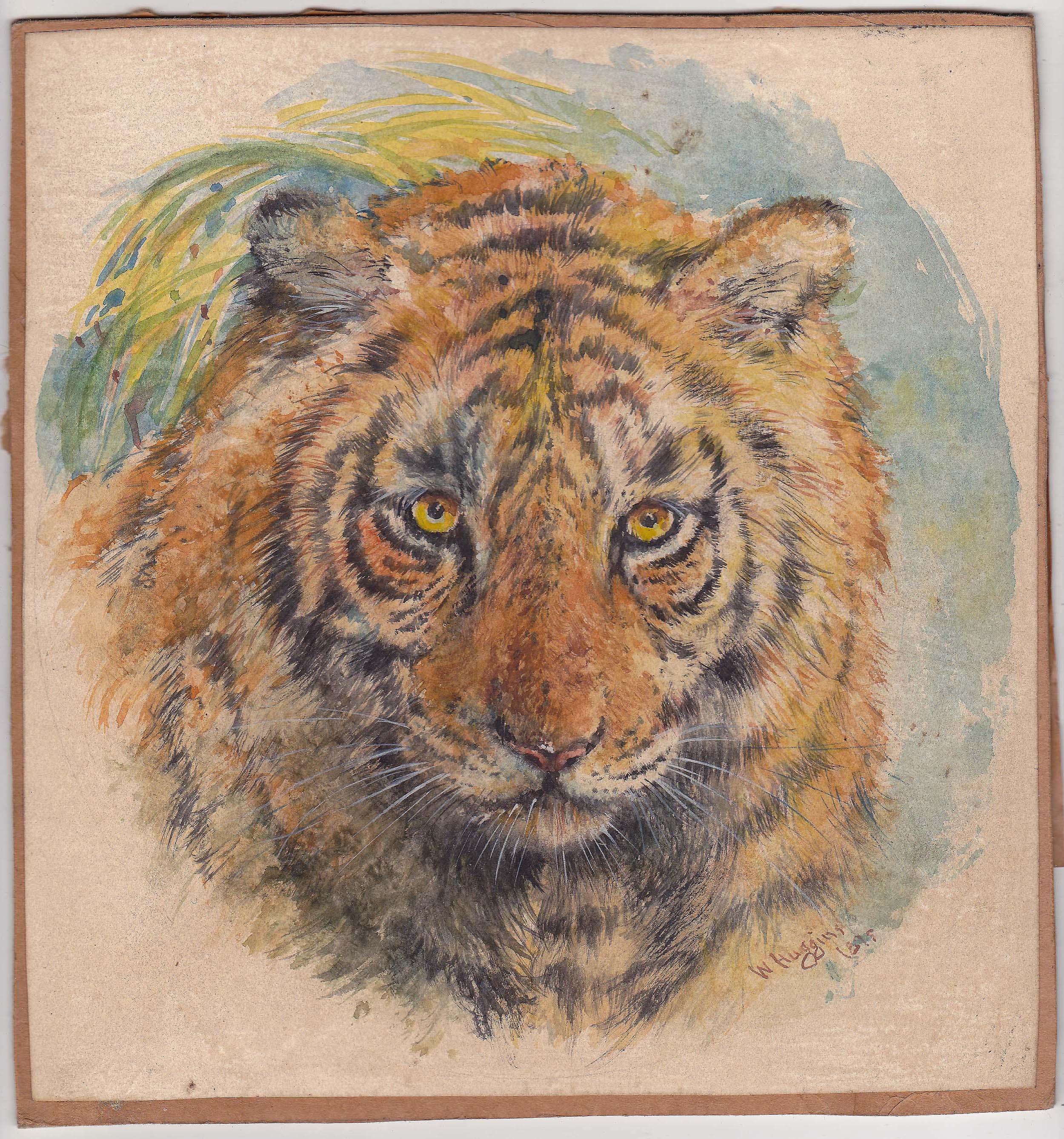 Kopf eines Tigers, William Huggins zugeschrieben, 1820-1875 (Georgian) im Angebot