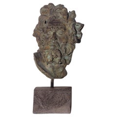 Head of Lacoonte in patinated bronze, 20th cent
