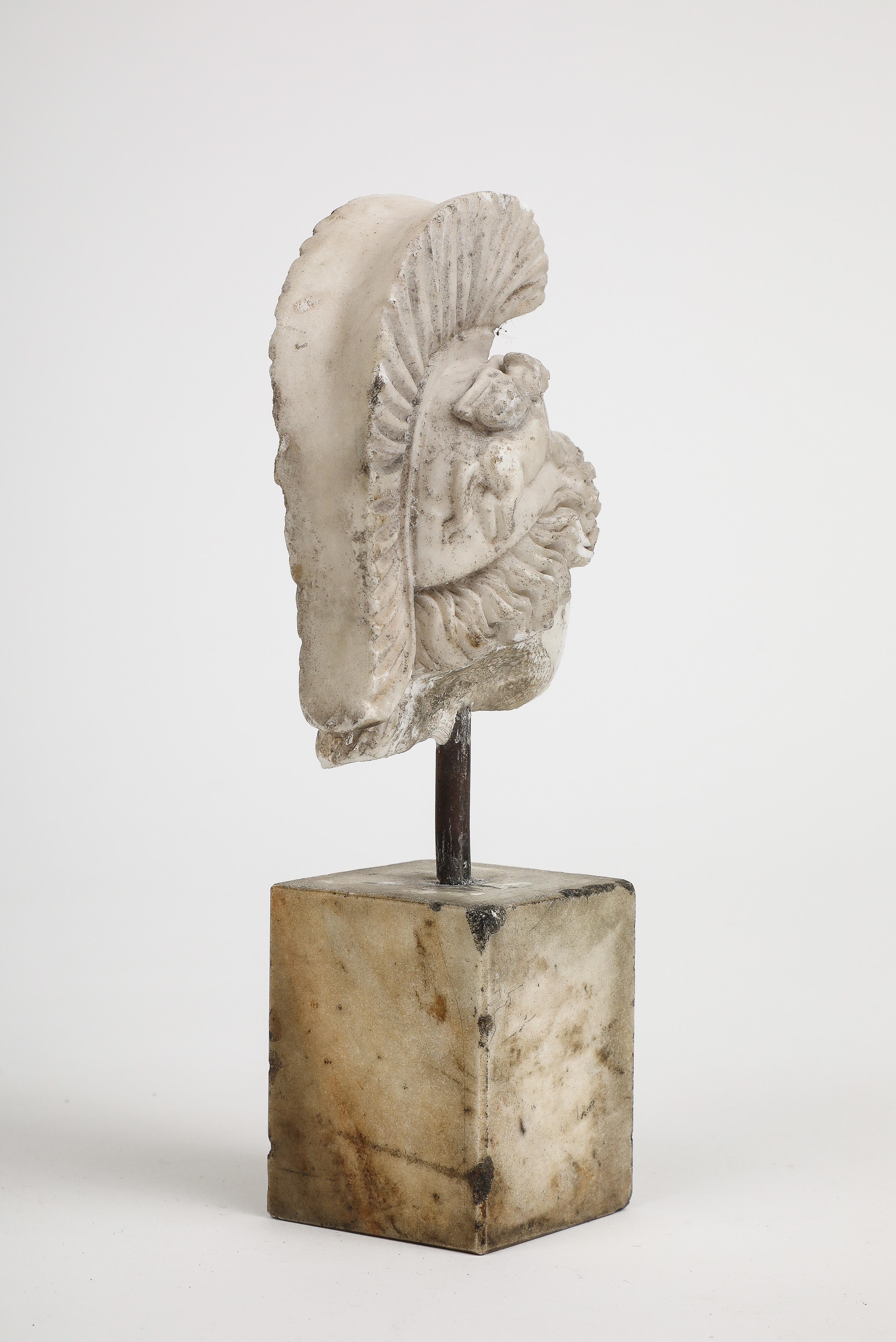 Head of Minerva Carved in White Marble, 19th Century For Sale 1