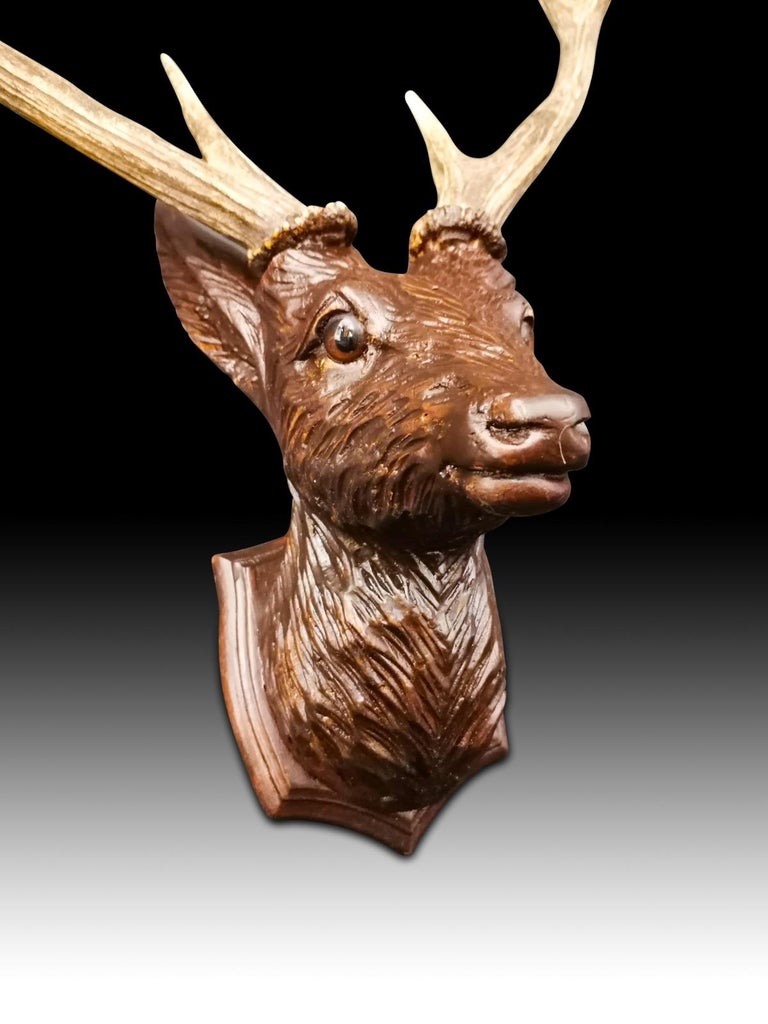 Modern Head of the Deer in Carved Wood, 20th Century