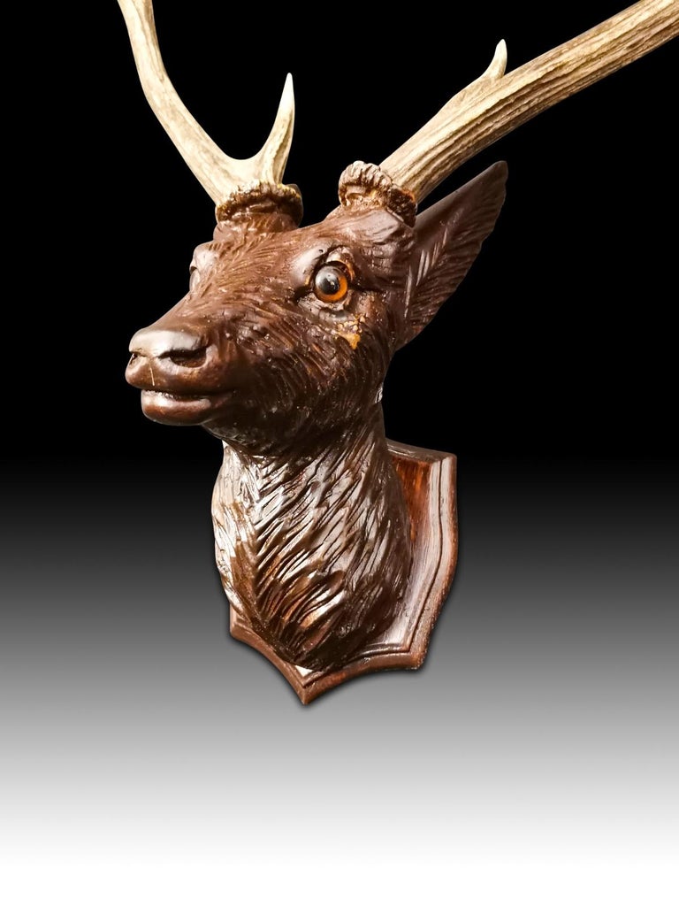 German Head of the Deer in Carved Wood, 20th Century