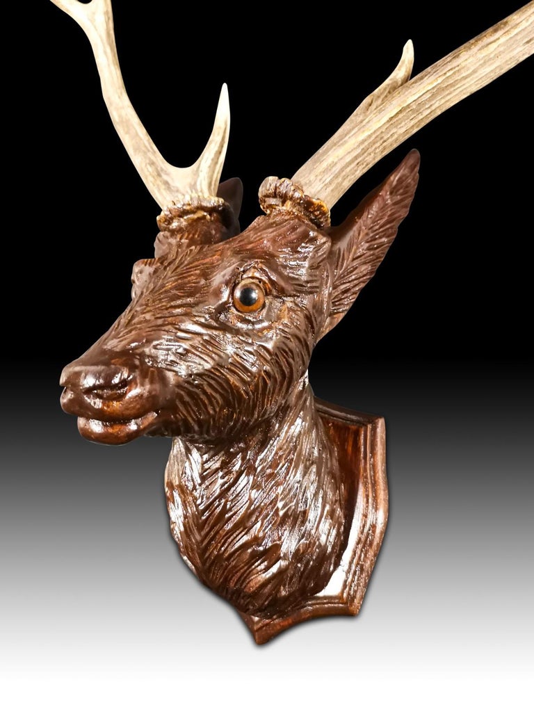 Hand-Crafted Head of the Deer in Carved Wood, 20th Century