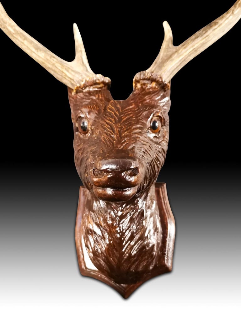 Head of the Deer in Carved Wood, 20th Century In Good Condition In Madrid, ES