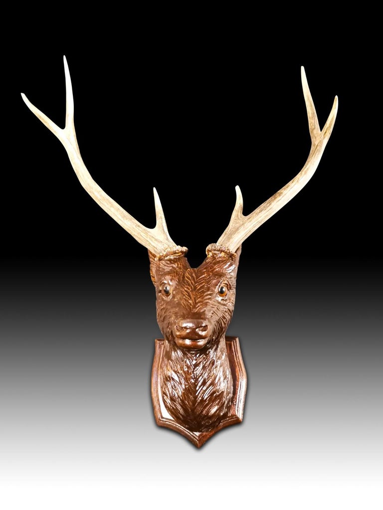 Head of the Deer in Carved Wood, 20th Century 1