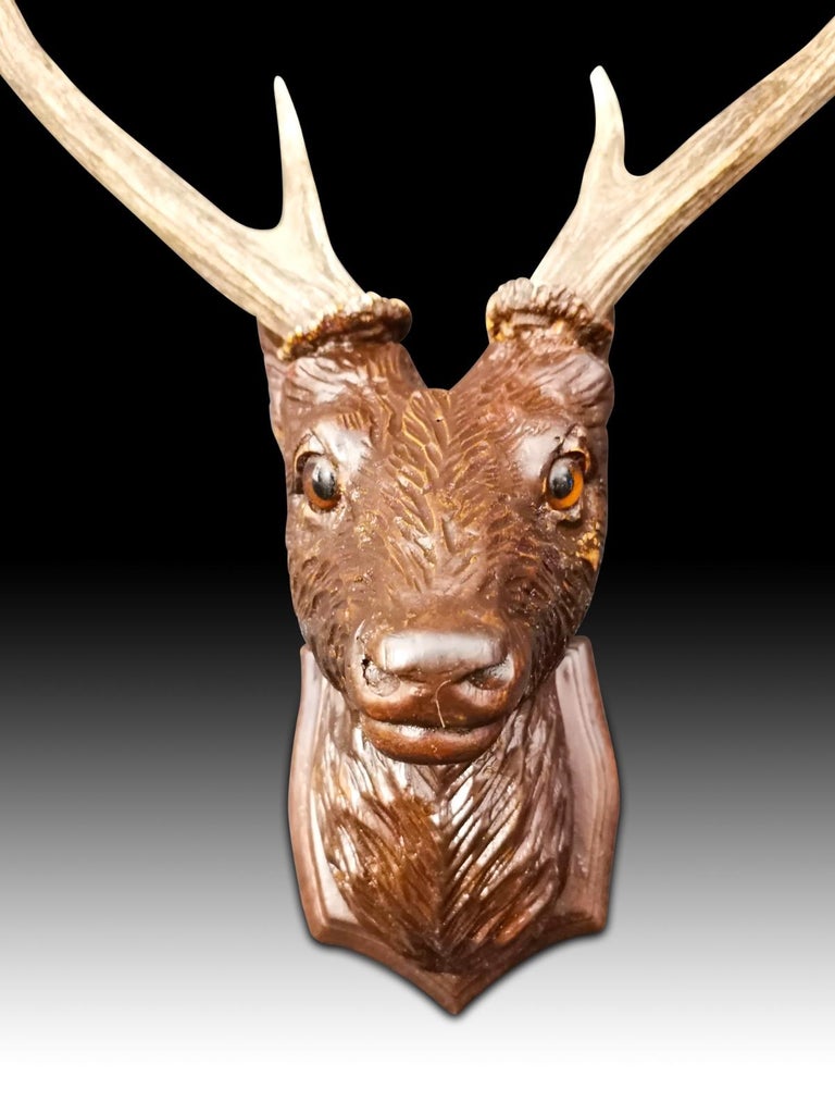 Head of the Deer in Carved Wood, 20th Century 2