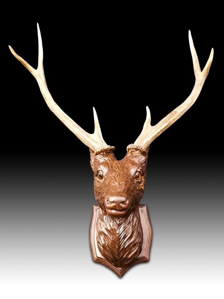 Head of the Deer in Carved Wood, 20th Century 3