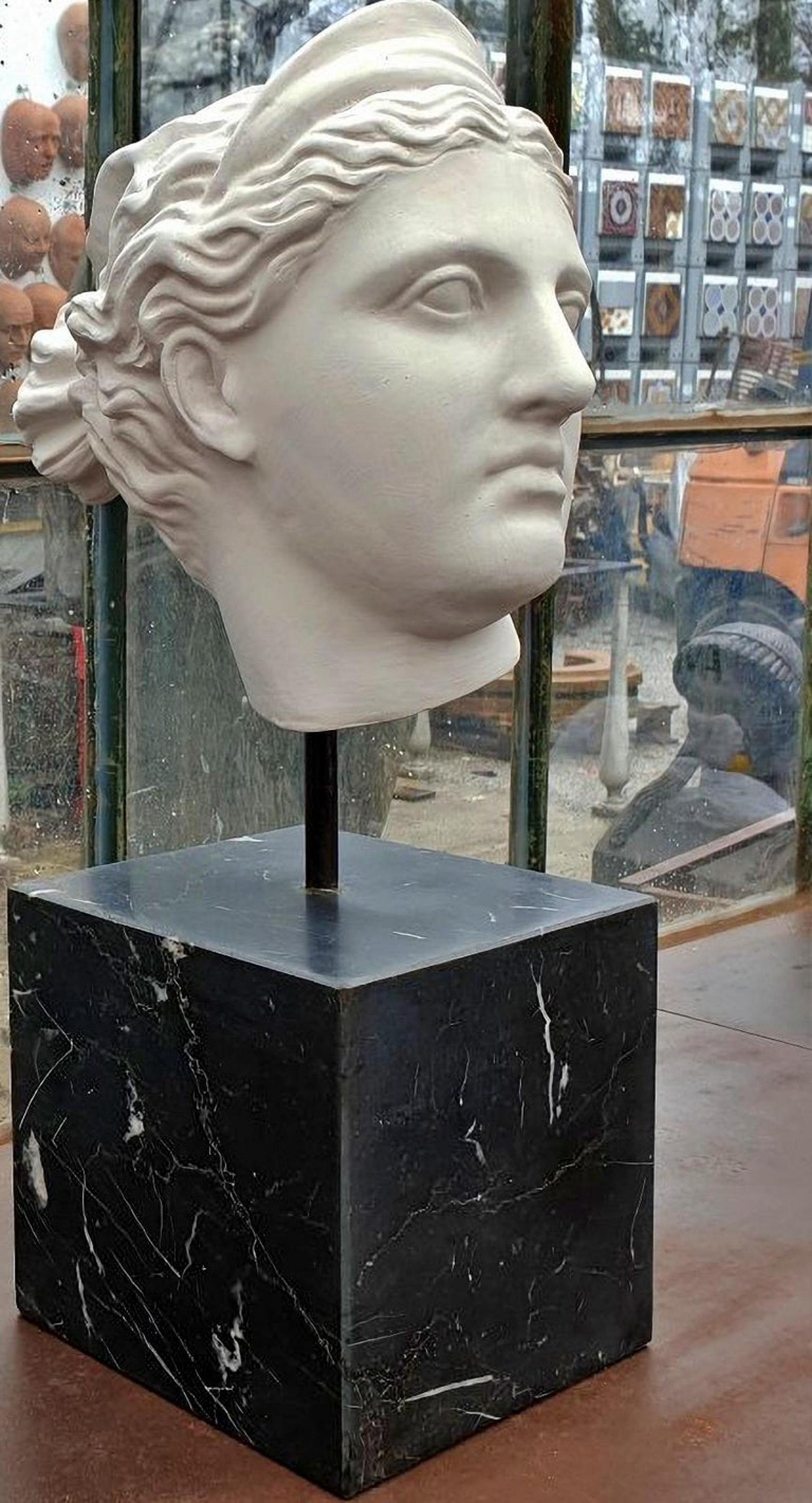 Kopf der Diana von Versailles, Terrakotta Bianca, frühes 20. Jahrhundert (Barock) im Angebot