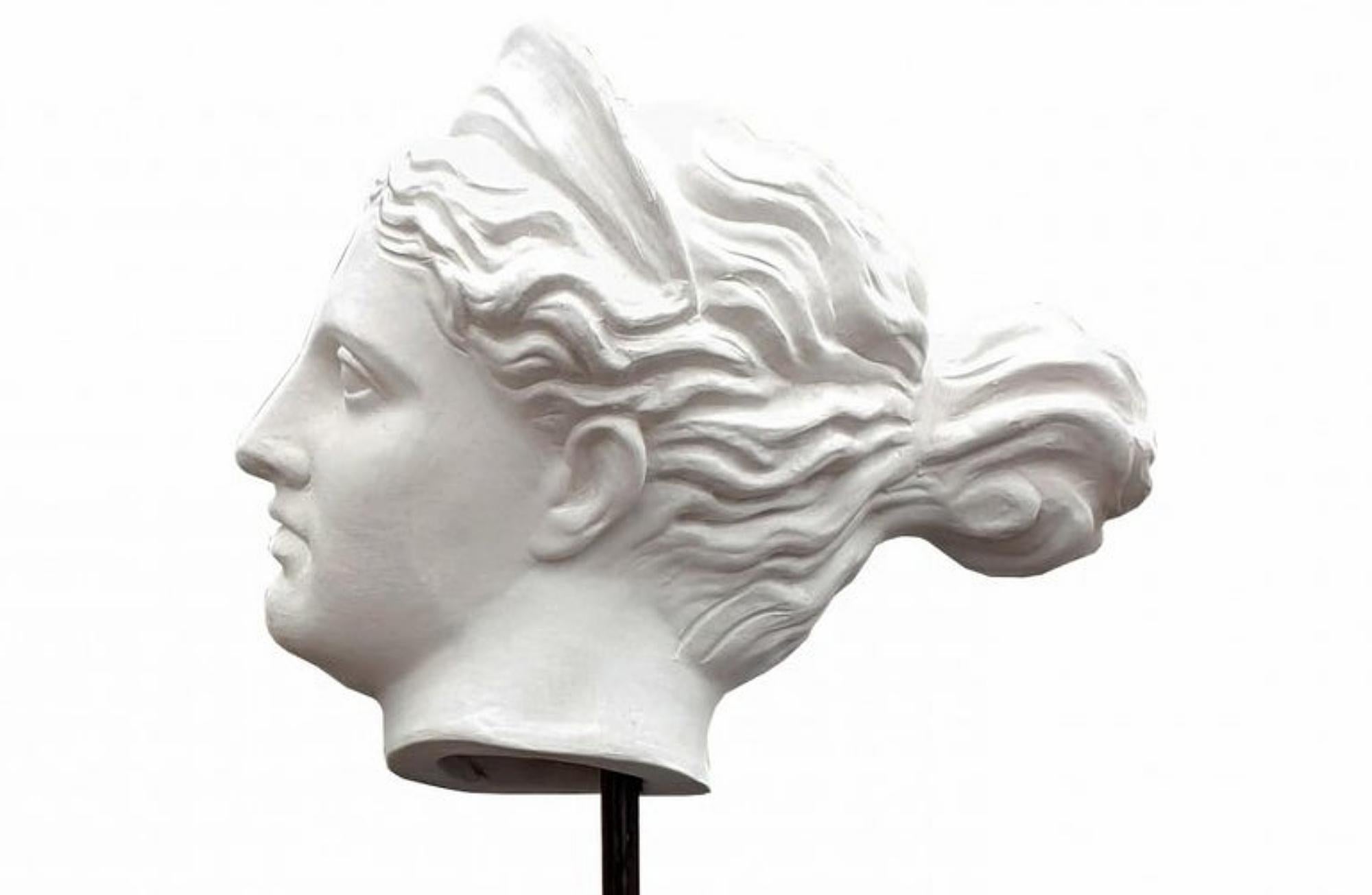 Kopf der Diana von Versailles, Terrakotta Bianca, frühes 20. Jahrhundert (Italienisch) im Angebot
